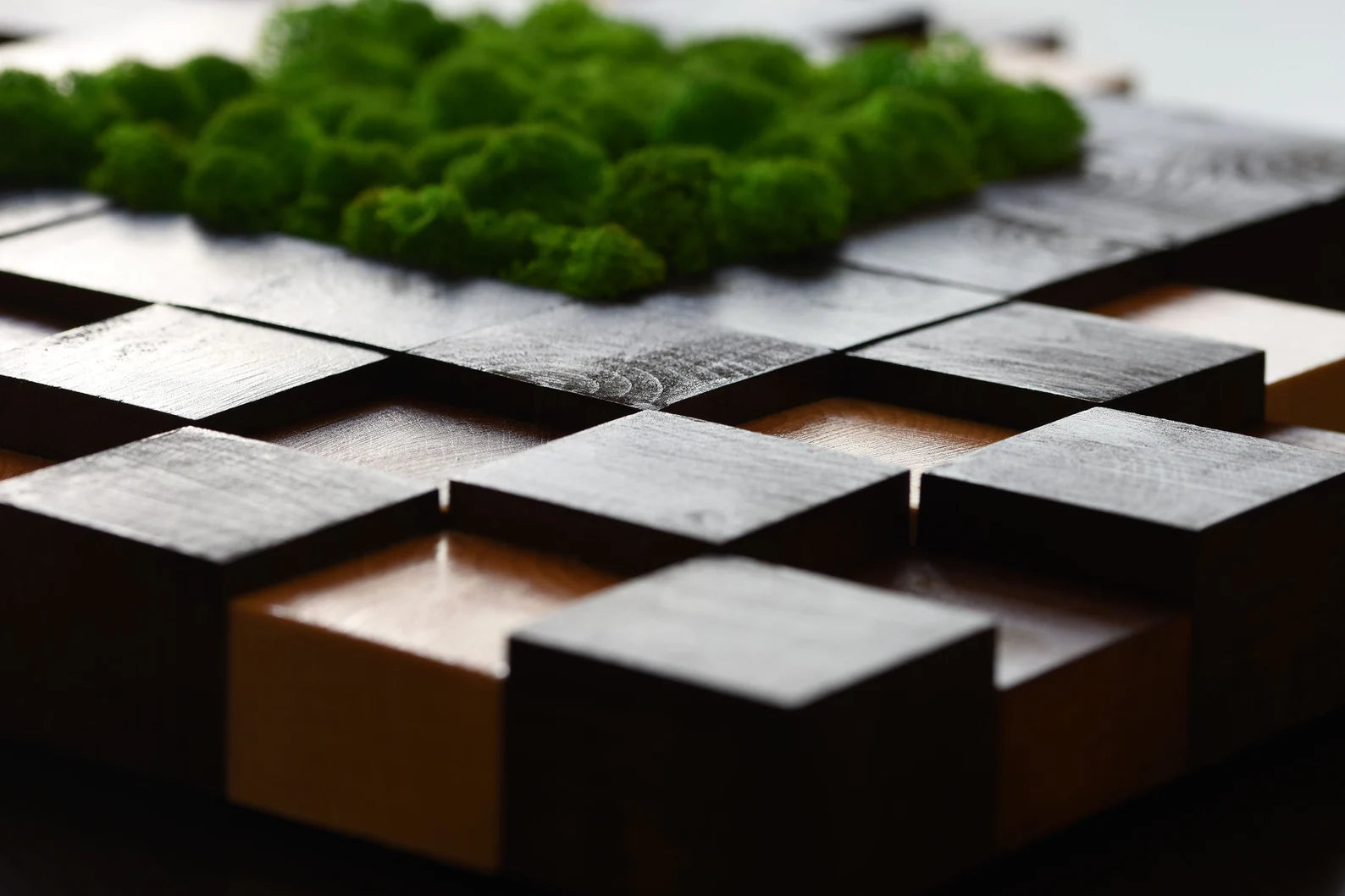Preserved Moss Wall Art – Handmade Natural Wood Decor | Eco-Friendly Wall Hanging for Home & Office