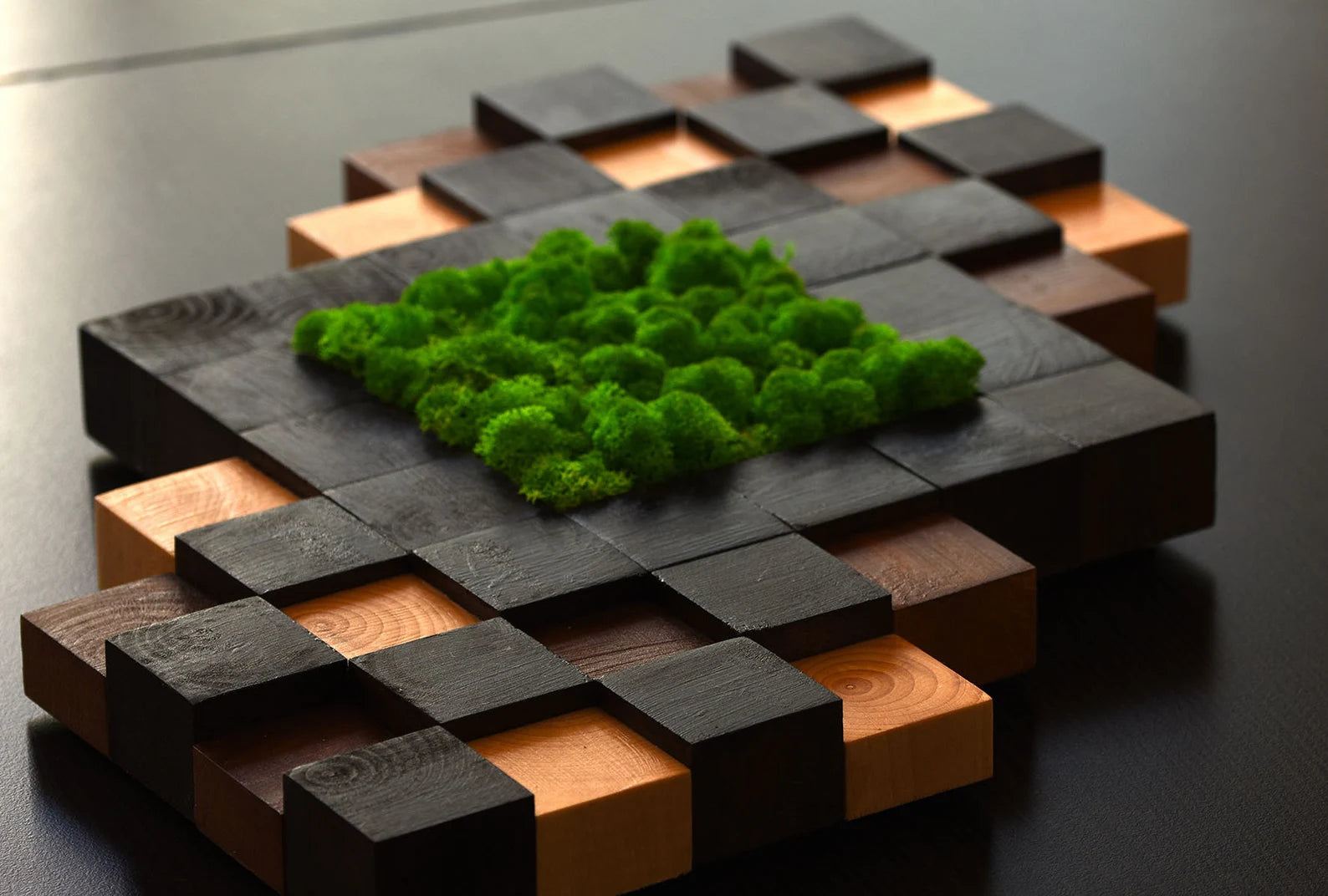 Preserved Moss Wall Art – Handmade Natural Wood Decor | Eco-Friendly Wall Hanging for Home & Office