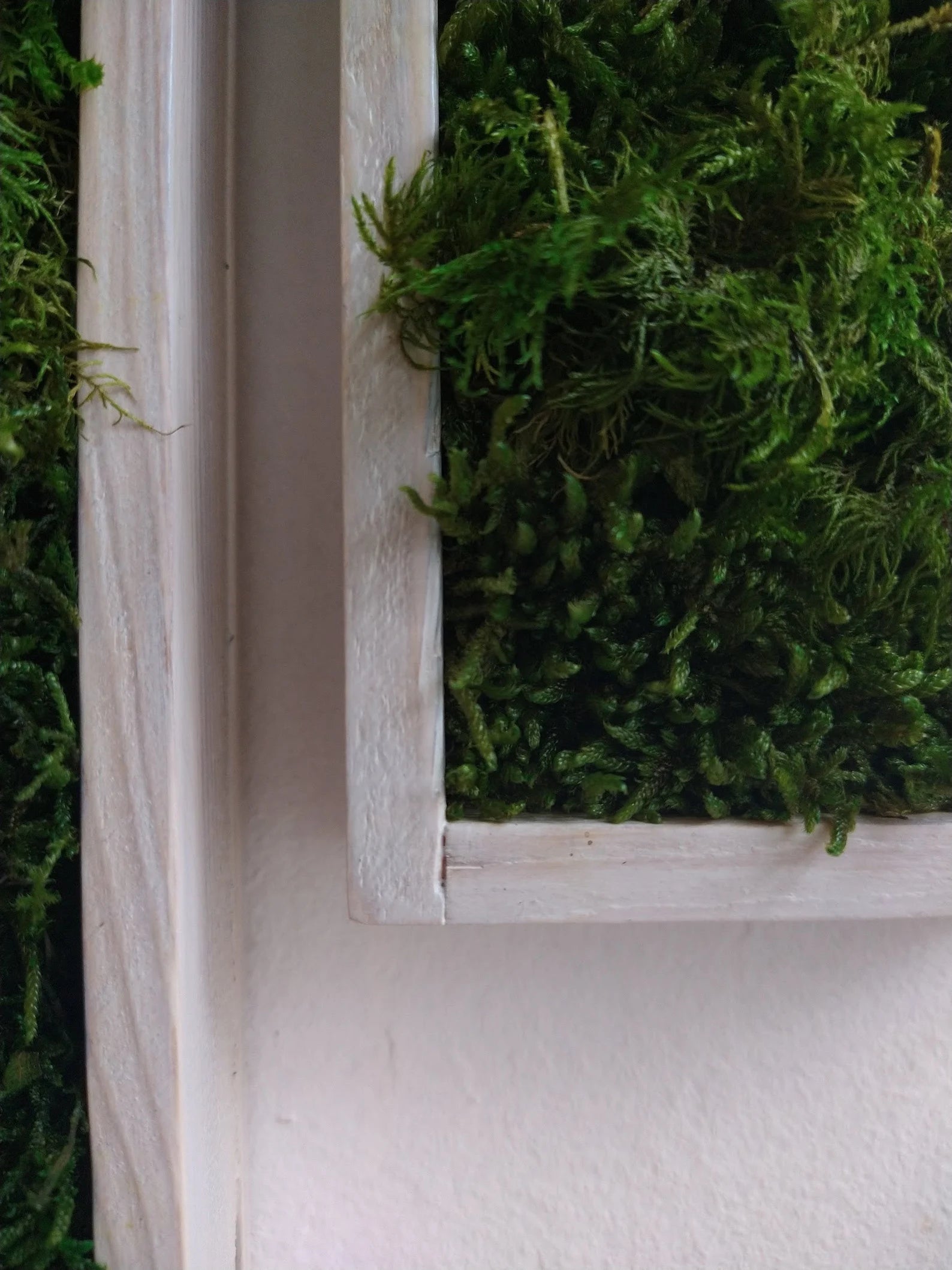 Long Frame Moss Painting – Preserved Green Wall Art | Maintenance-Free Natural Wall Decor