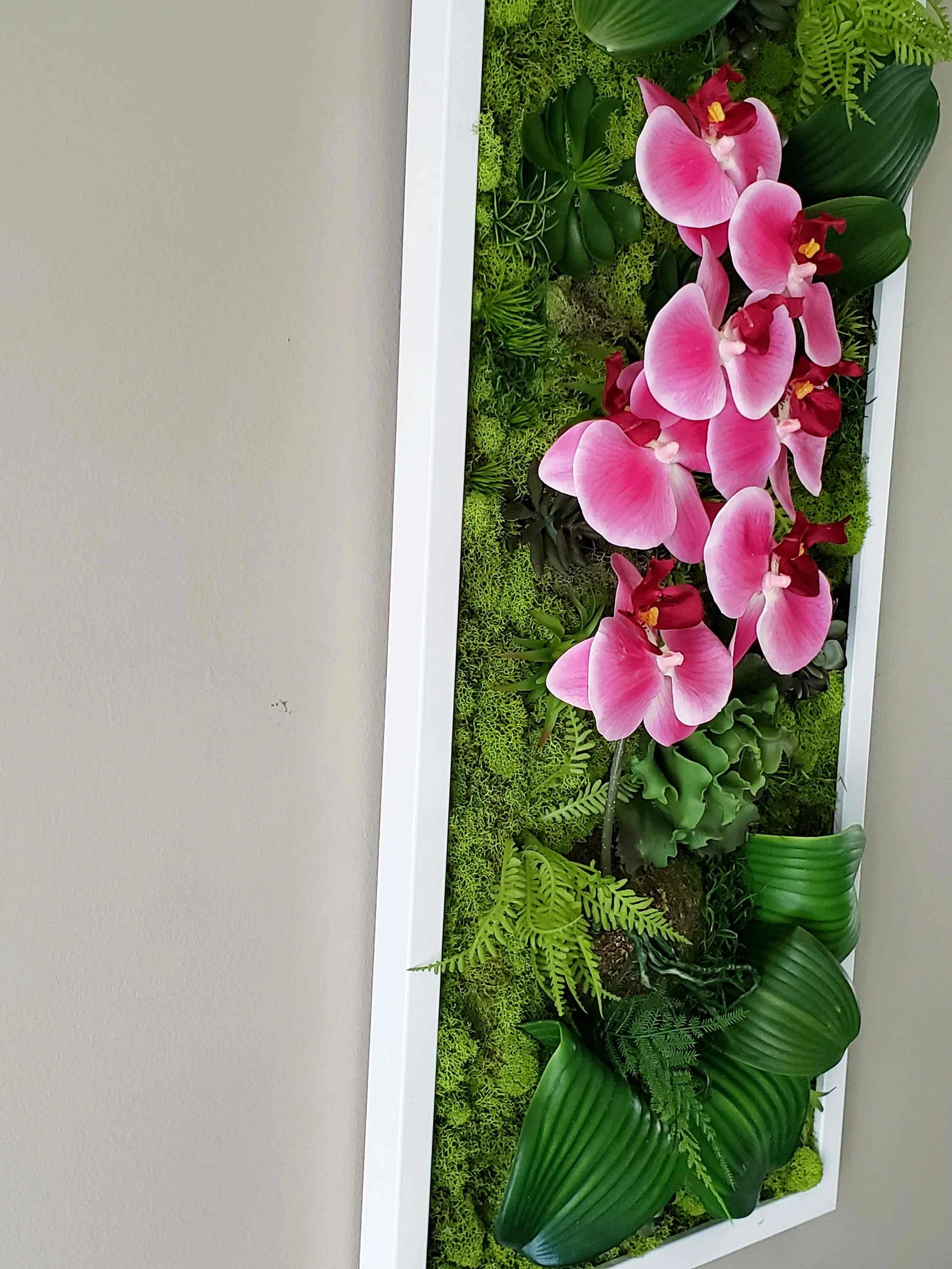 Succulent & Orchid Moss Wall Art – Large Preserved Moss Frame in White, Black, or Gold