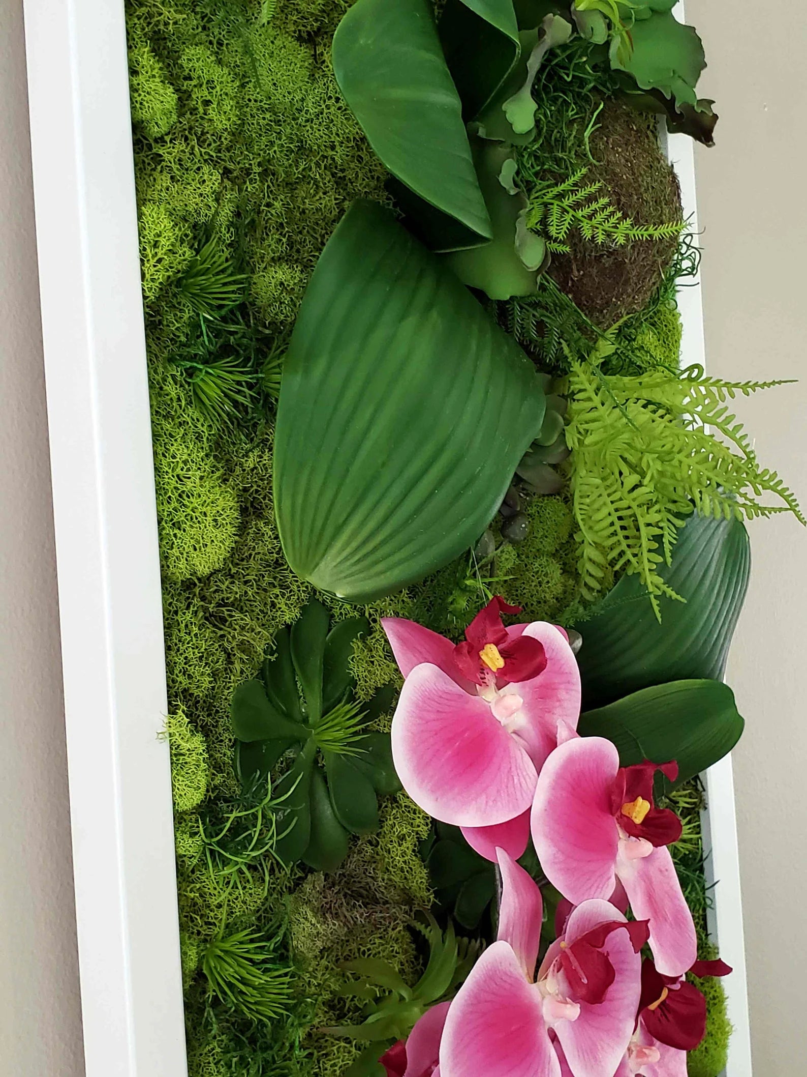 Succulent & Orchid Moss Wall Art – Large Preserved Moss Frame in White, Black, or Gold