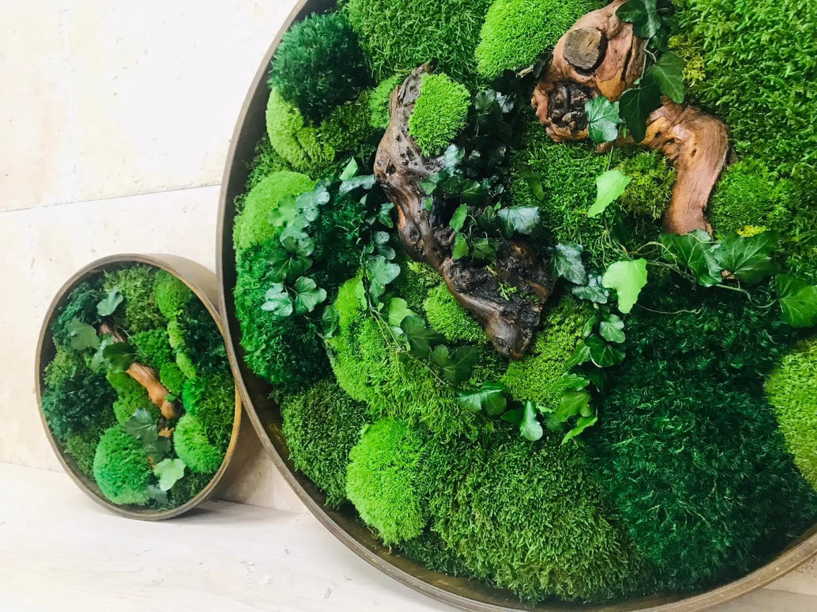 Round Moss Wall Art – Handmade Preserved Green Decor | Eco-Friendly Botanical Accent Frame