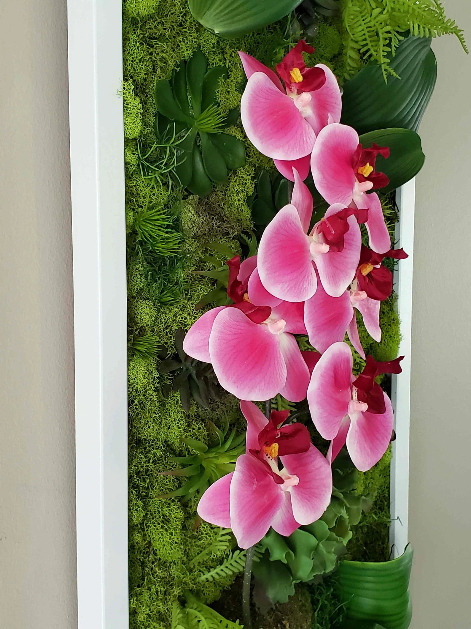 Succulent & Orchid Moss Wall Art – Large Preserved Moss Frame in White, Black, or Gold