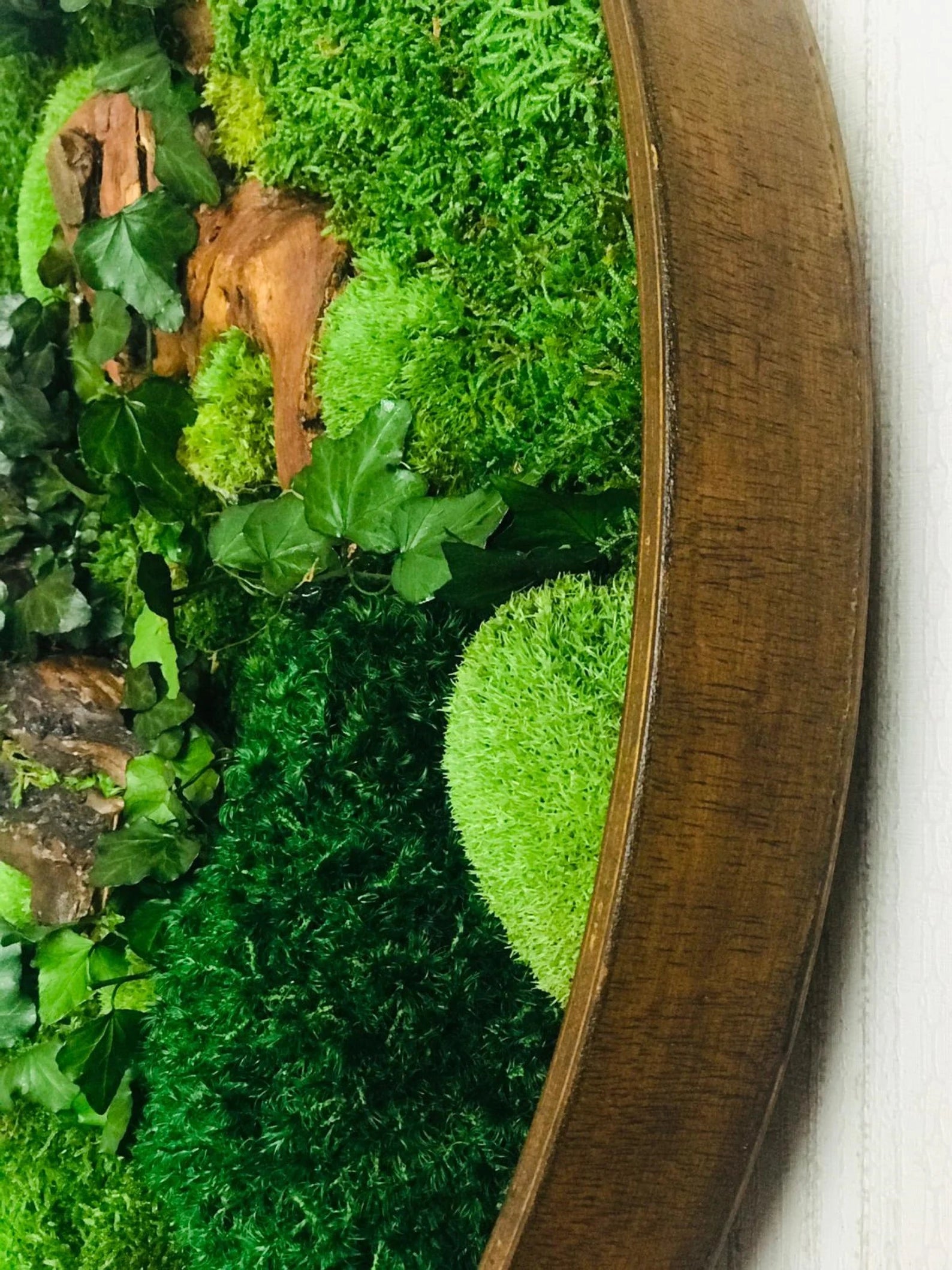 Round Moss Wall Art – Handmade Preserved Green Decor | Eco-Friendly Botanical Accent Frame