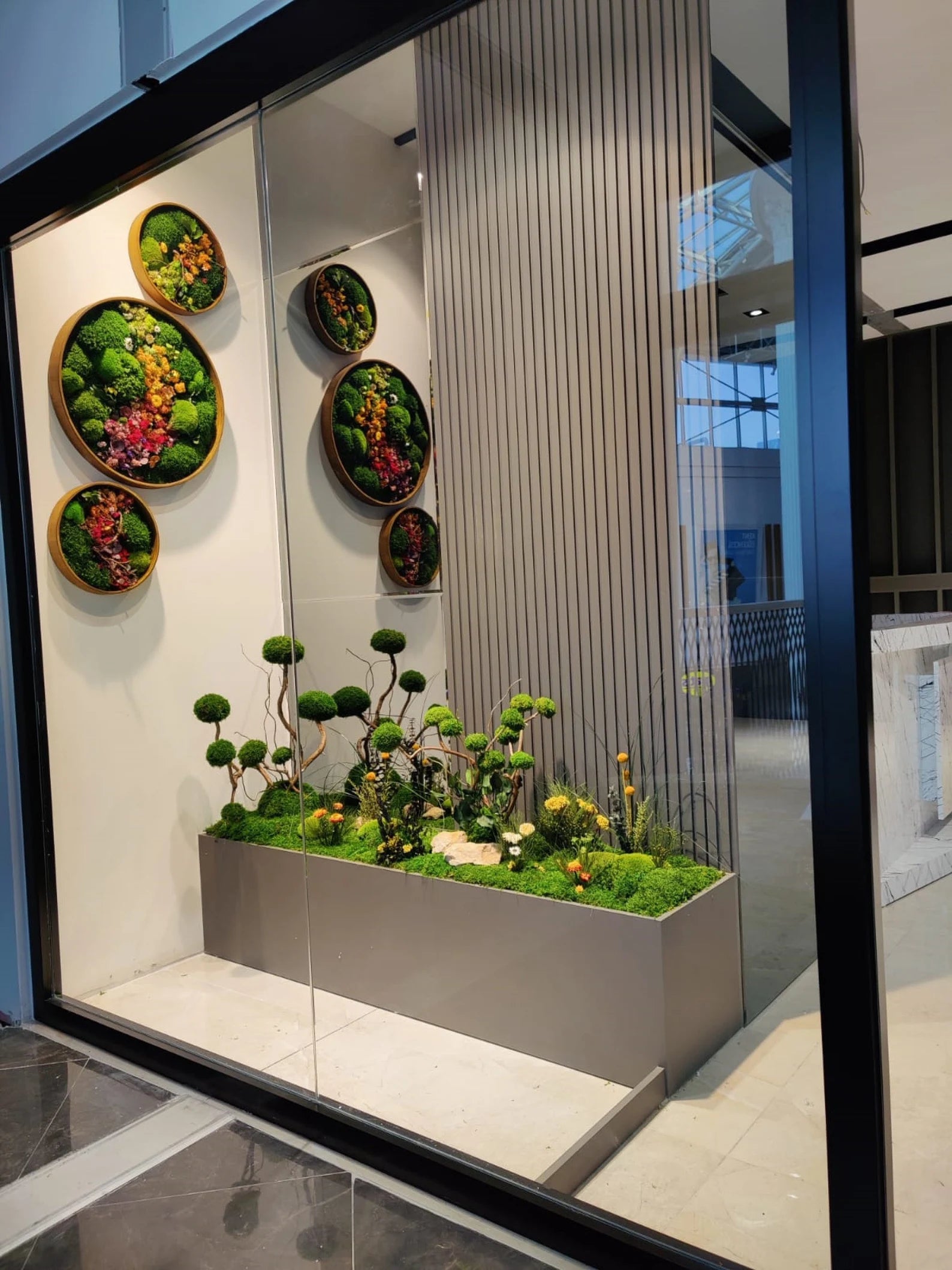 Round Moss Wall Art – Circle Frame Living Moss Decor | Eco-Friendly Home & Mother’s Day Gift