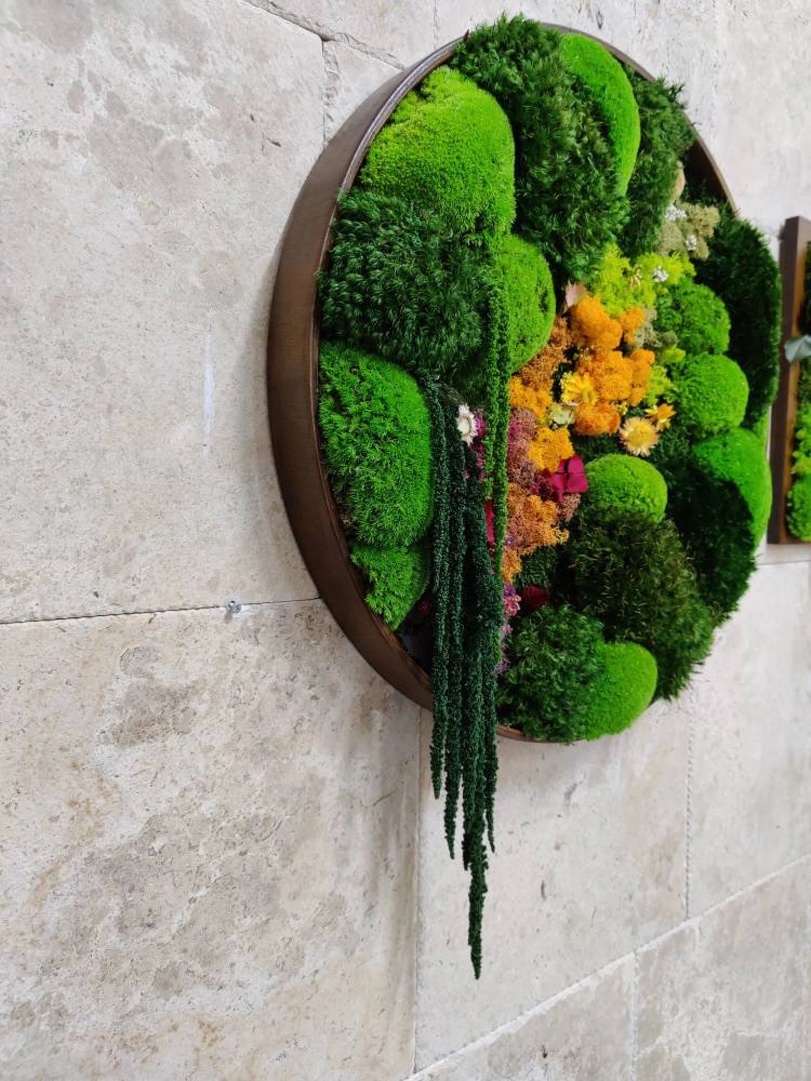 Round Moss Wall Art – Circle Frame Living Moss Decor | Eco-Friendly Home & Mother’s Day Gift