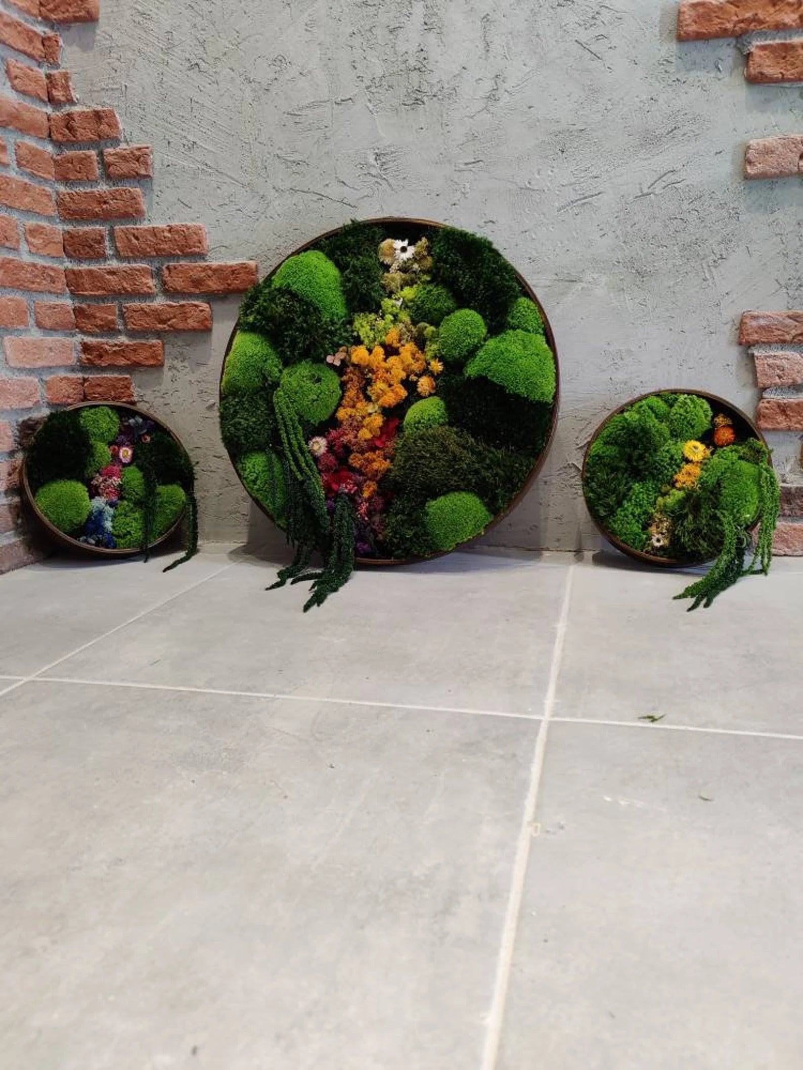 Round Moss Wall Art – Circle Frame Living Moss Decor | Eco-Friendly Home & Mother’s Day Gift