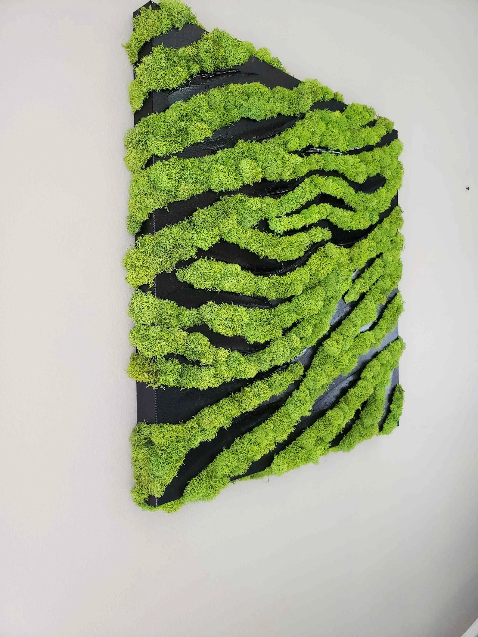 Modern Moss Wall Art – Zebra Style Hanging Decor – 20"x20" Preserved Moss Frame