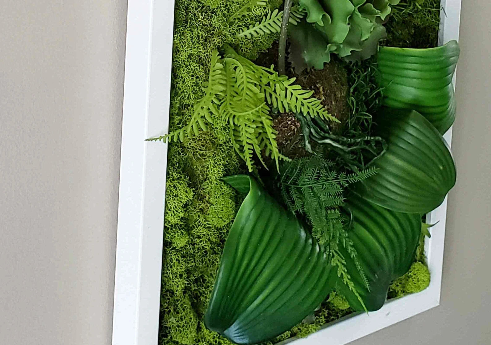 Succulent & Orchid Moss Wall Art – Large Preserved Moss Frame in White, Black, or Gold