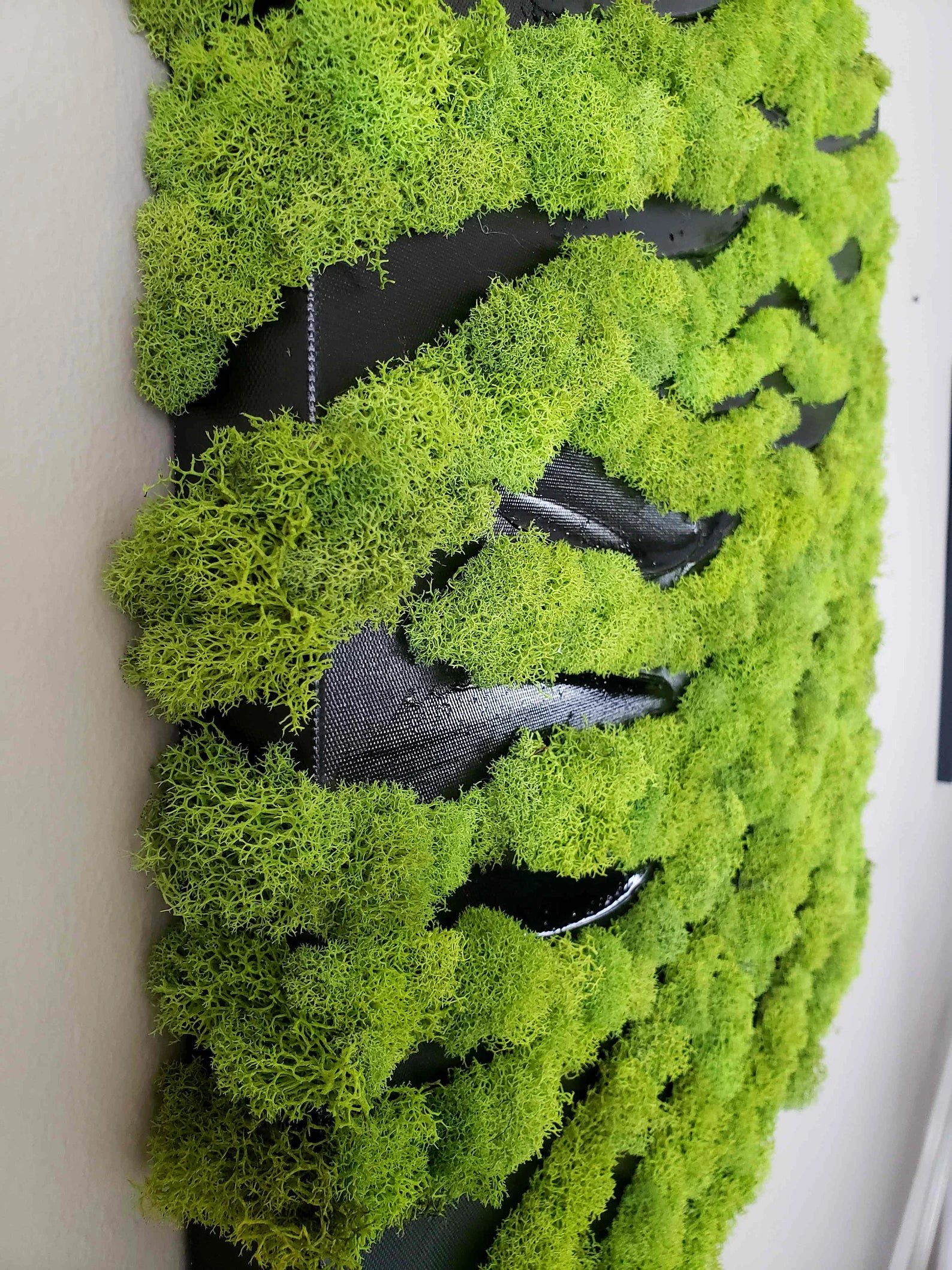 Modern Moss Wall Art – Zebra Style Hanging Decor – 20"x20" Preserved Moss Frame