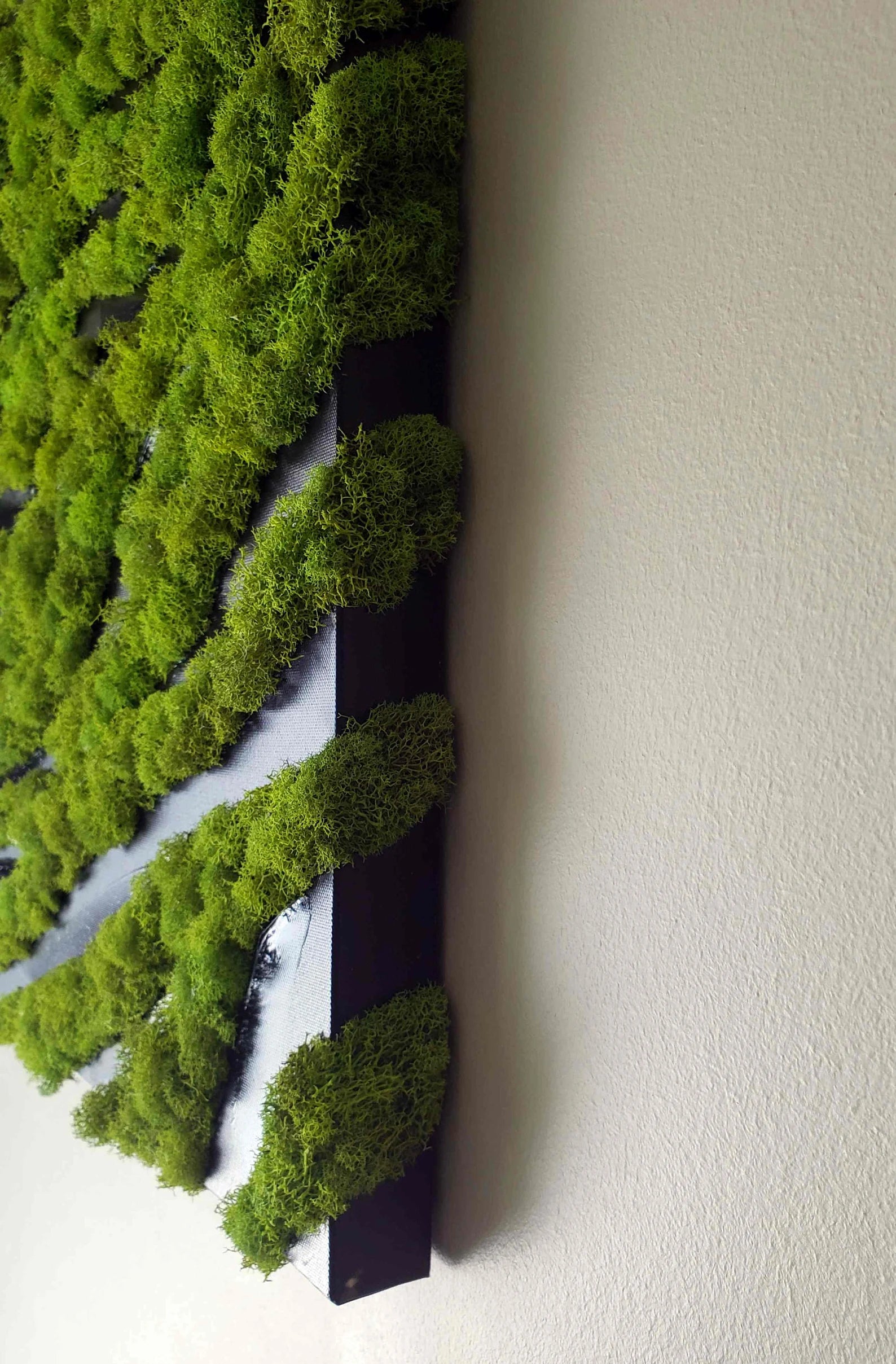 Modern Moss Wall Art – Zebra Style Hanging Decor – 20"x20" Preserved Moss Frame