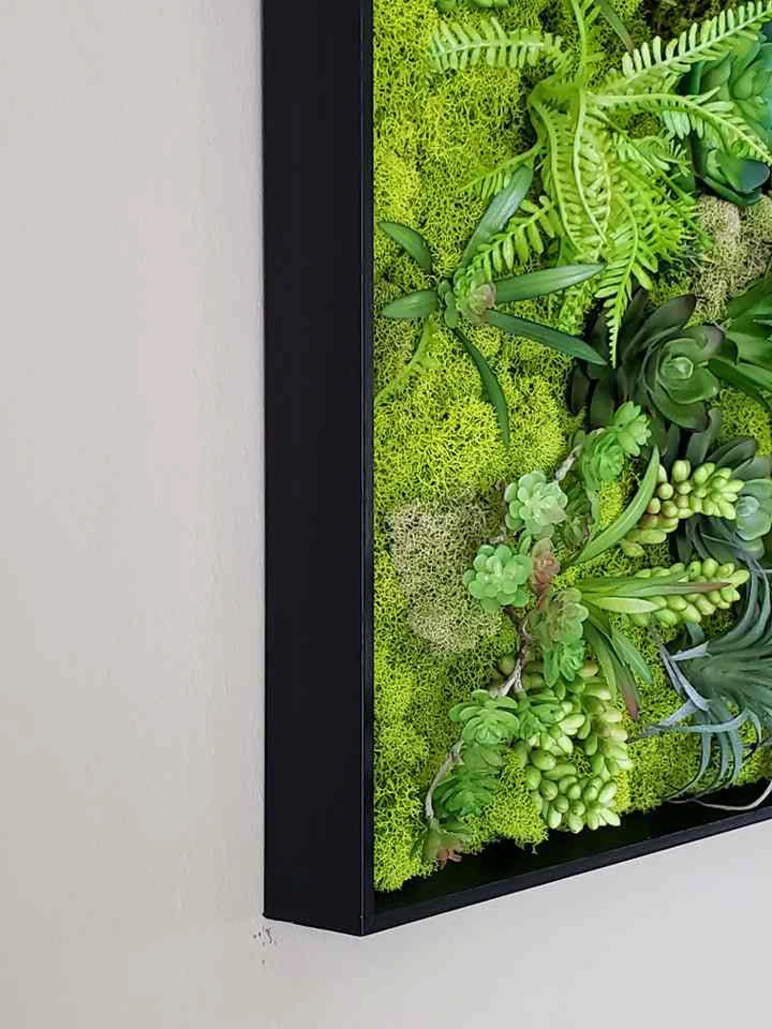 Faux Succulent Moss Wall Art – Handmade Preserved Moss Picture in Black Frame
