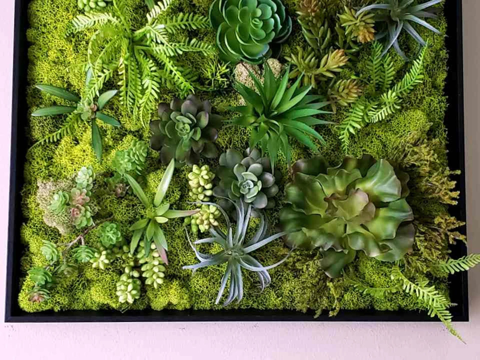Faux Succulent Moss Wall Art – Handmade Preserved Moss Picture in Black Frame