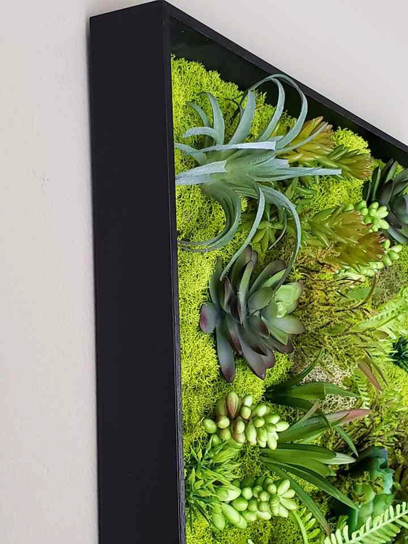 Faux Succulent Moss Wall Art – Handmade Preserved Moss Picture in Black Frame