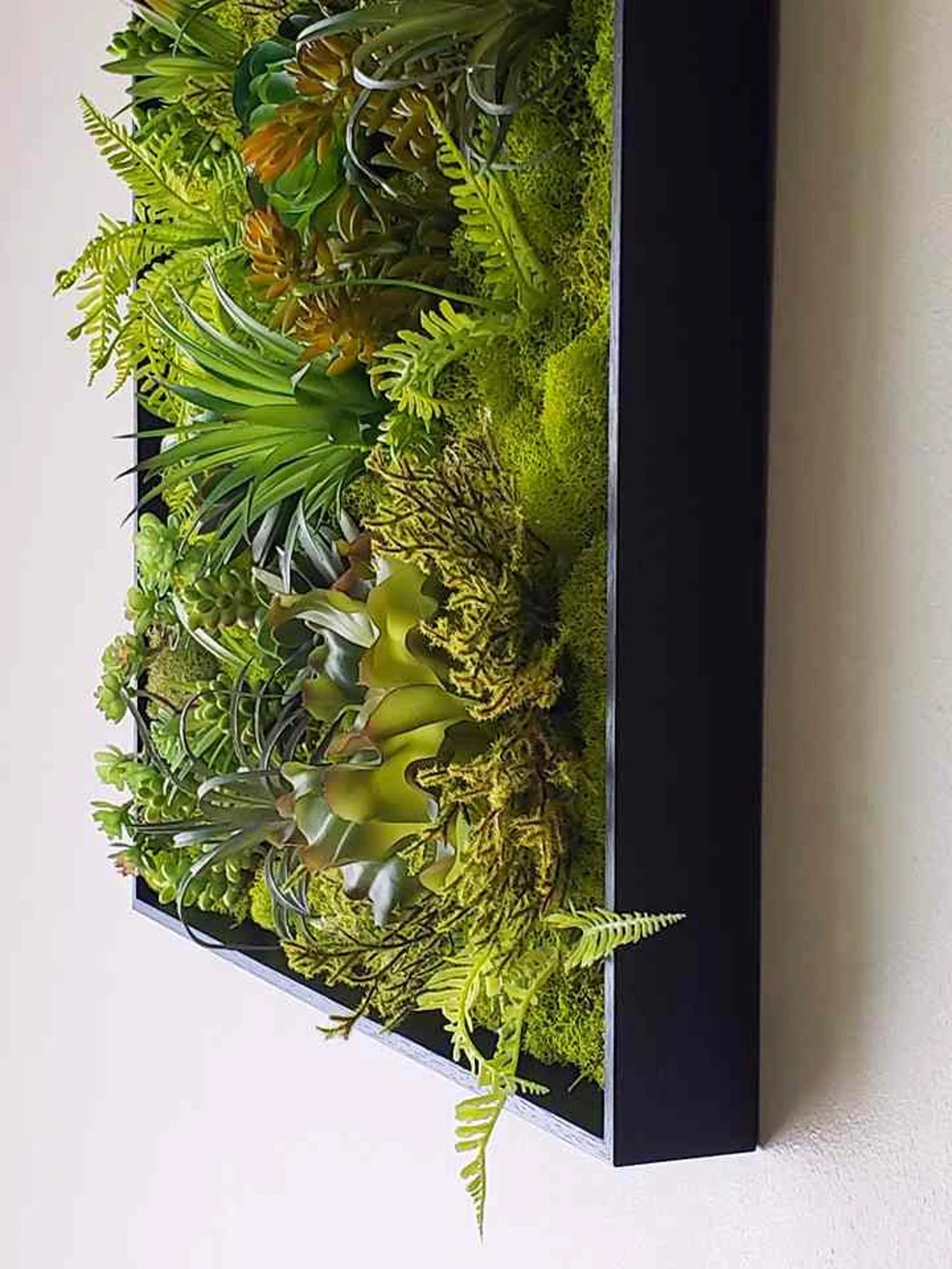 Faux Succulent Moss Wall Art – Handmade Preserved Moss Picture in Black Frame