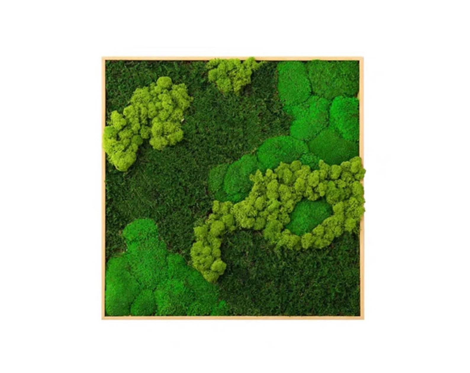 Preserved Moss Wall Art – Vertical Eco Panel for Sustainable Home Decor
