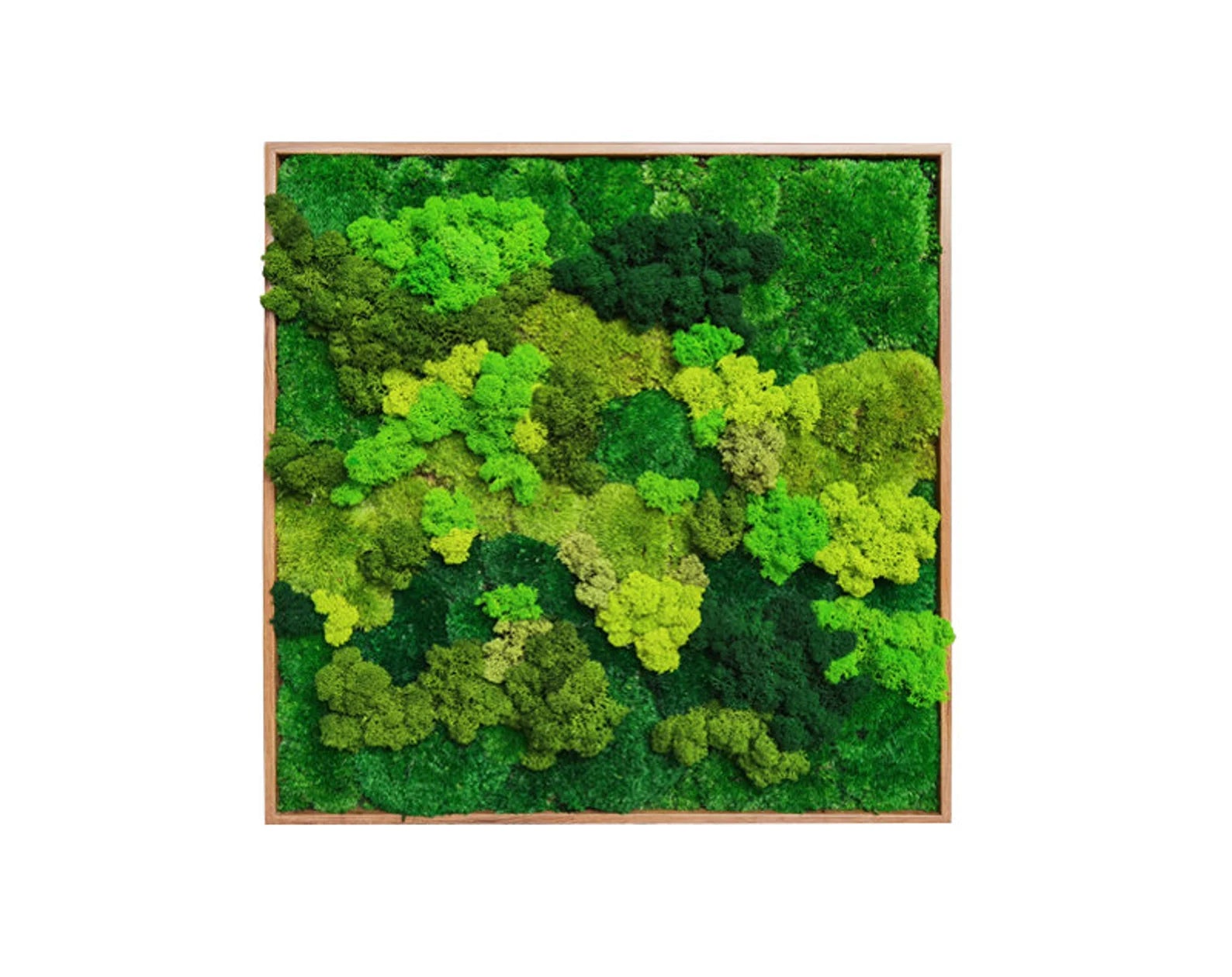 Preserved Moss Wall Art – Vertical Eco Panel for Sustainable Home Decor