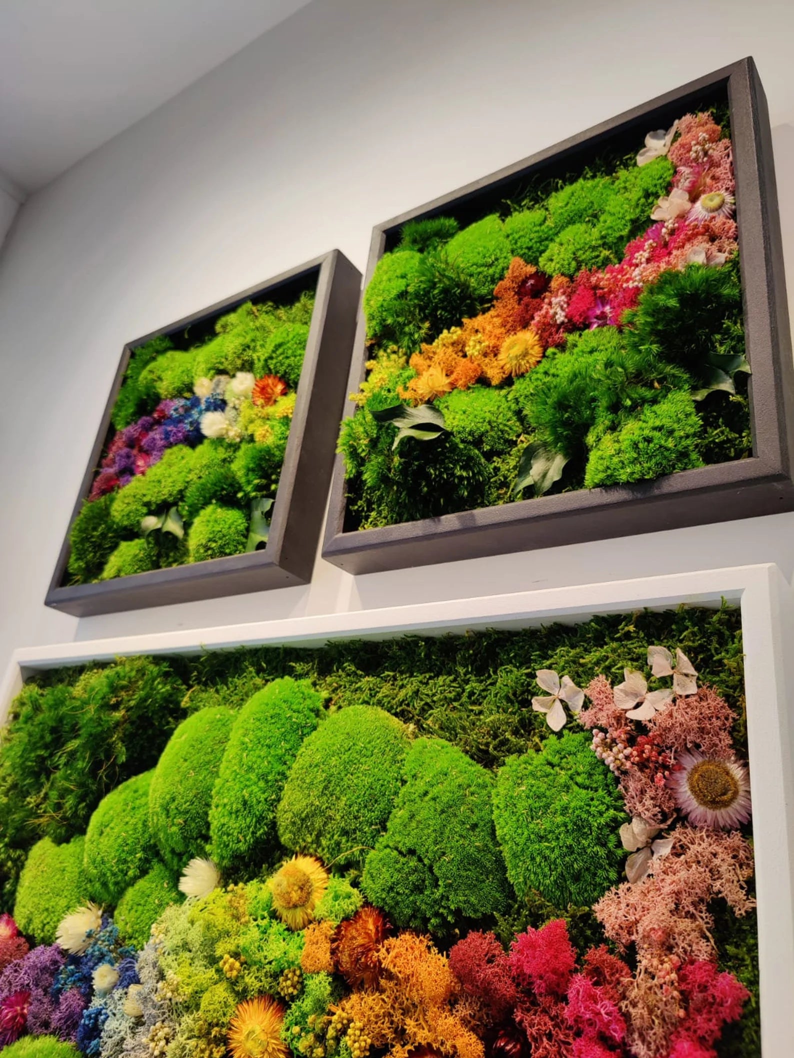 Live Moss Wall Art – Eco-Friendly Vertical Garden | Biophilic & Sustainable Home Decor