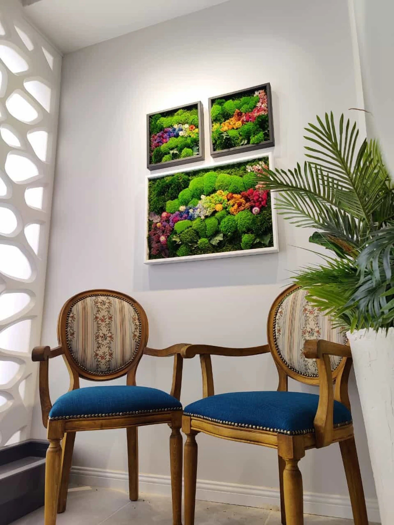 Live Moss Wall Art – Eco-Friendly Vertical Garden | Biophilic & Sustainable Home Decor