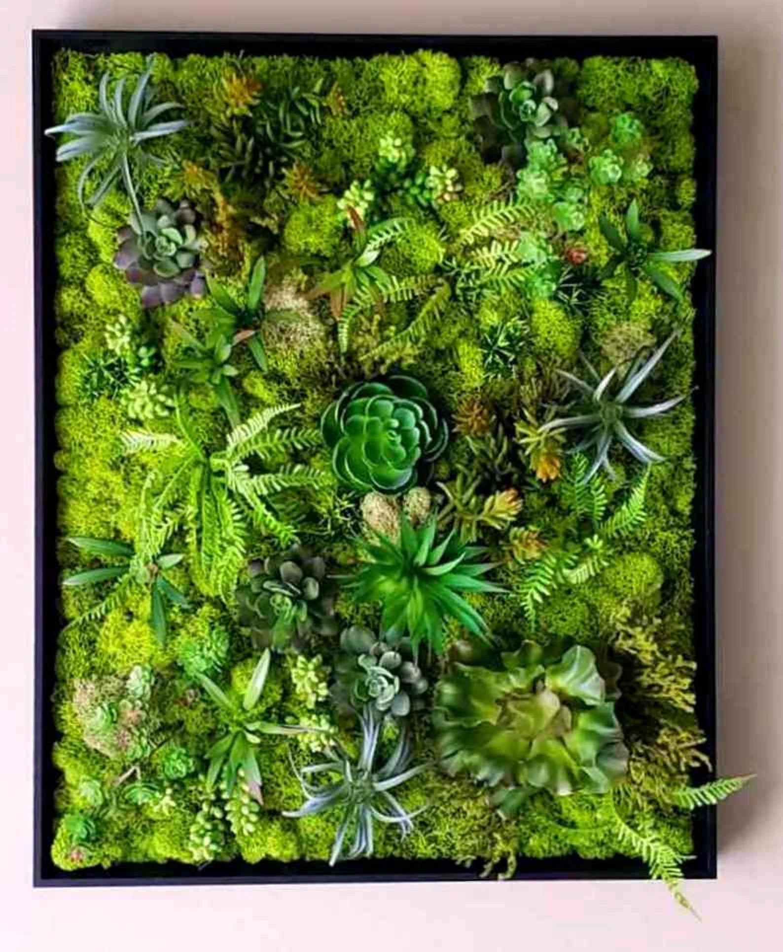 Faux Succulent Moss Wall Art – Handmade Preserved Moss Picture in Black Frame