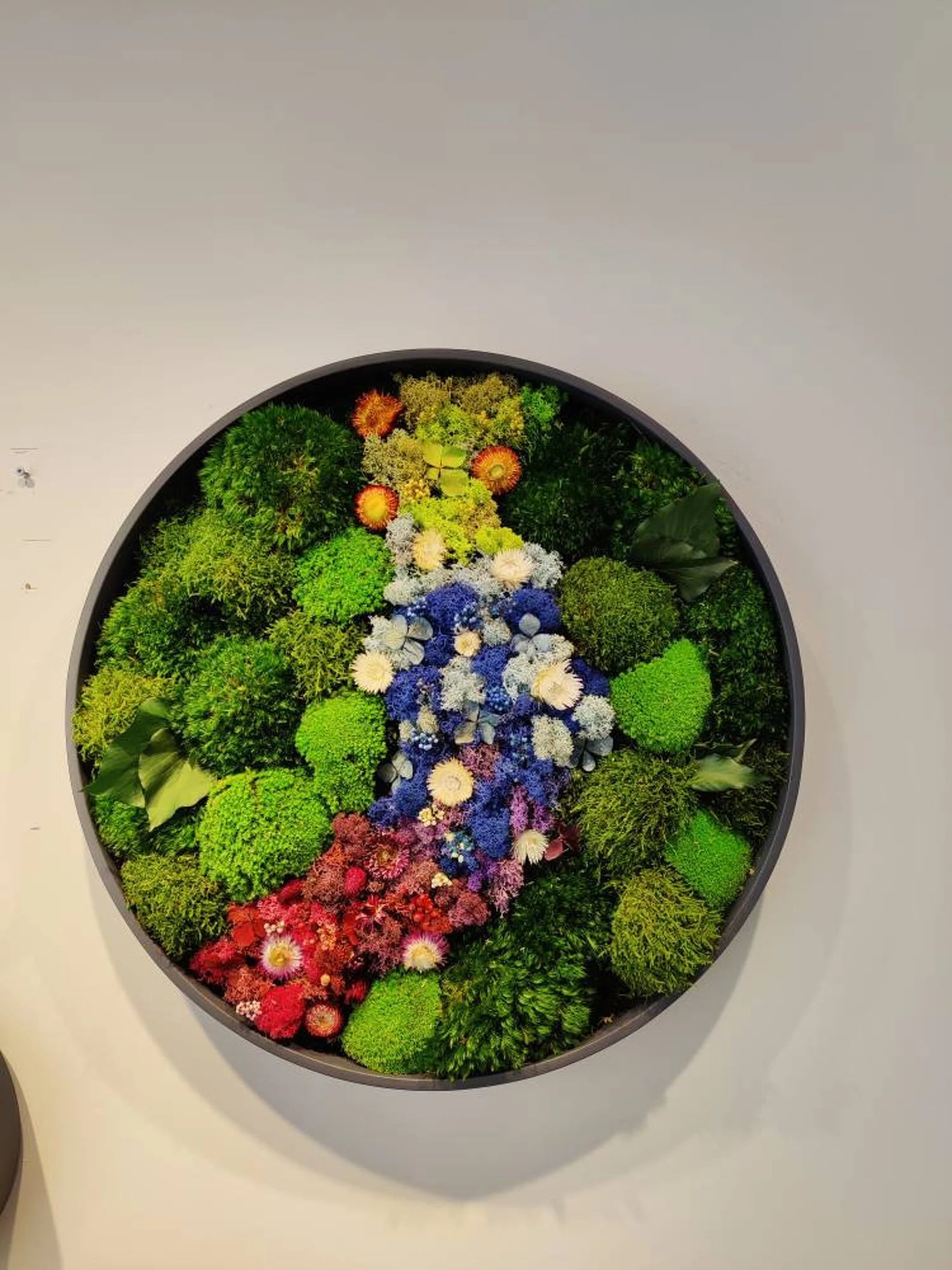 Round Moss Wall Art – Circle Frame Living Moss Decor | Eco-Friendly Home & Mother’s Day Gift