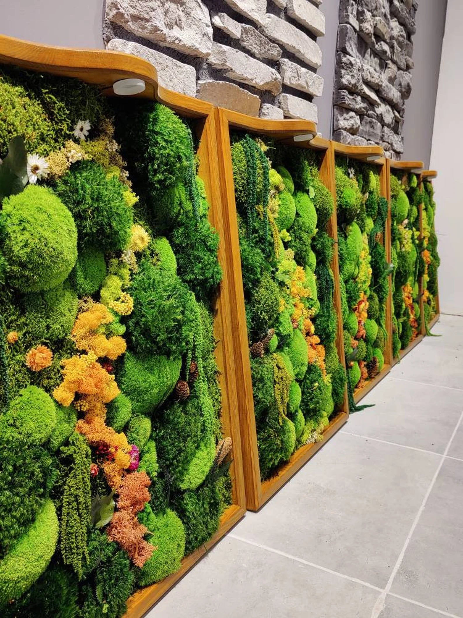 Illuminated Moss Wall Art – LED Preserved Moss Frame | Modern Nature-Inspired Decor