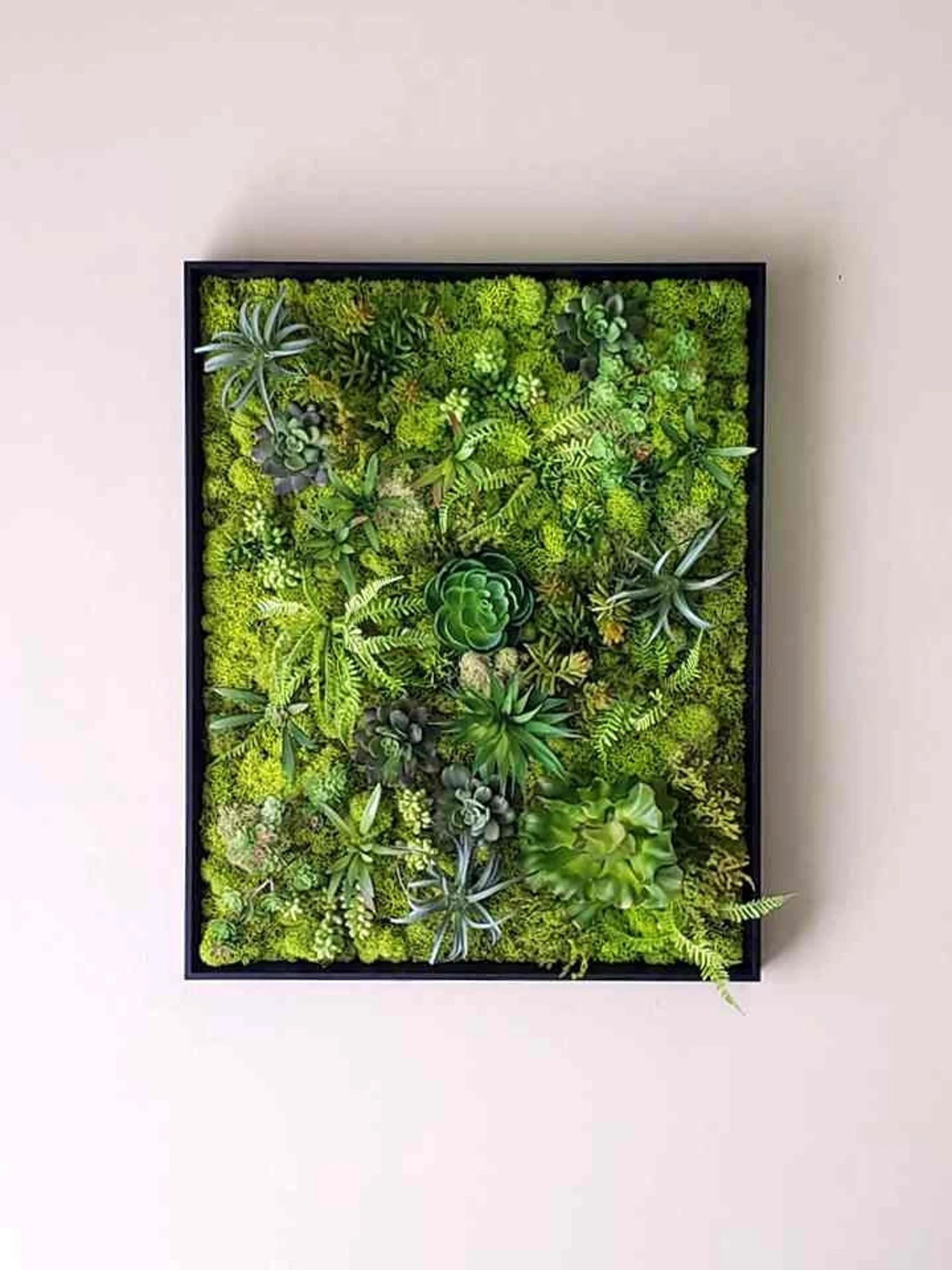 Faux Succulent Moss Wall Art – Handmade Preserved Moss Picture in Black Frame