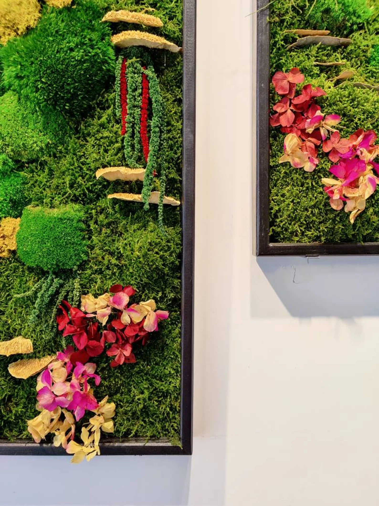 Preserved Moss Wall Art – Single to Six Sets, Eco-Friendly Green Home Decor