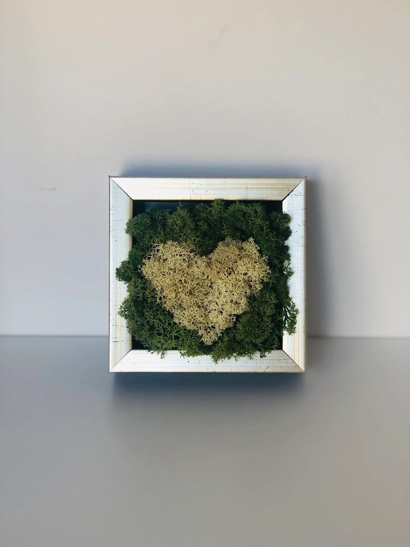 White Heart Moss Wall Art – Framed Preserved Reindeer Moss Décor, Unique Gift for Her