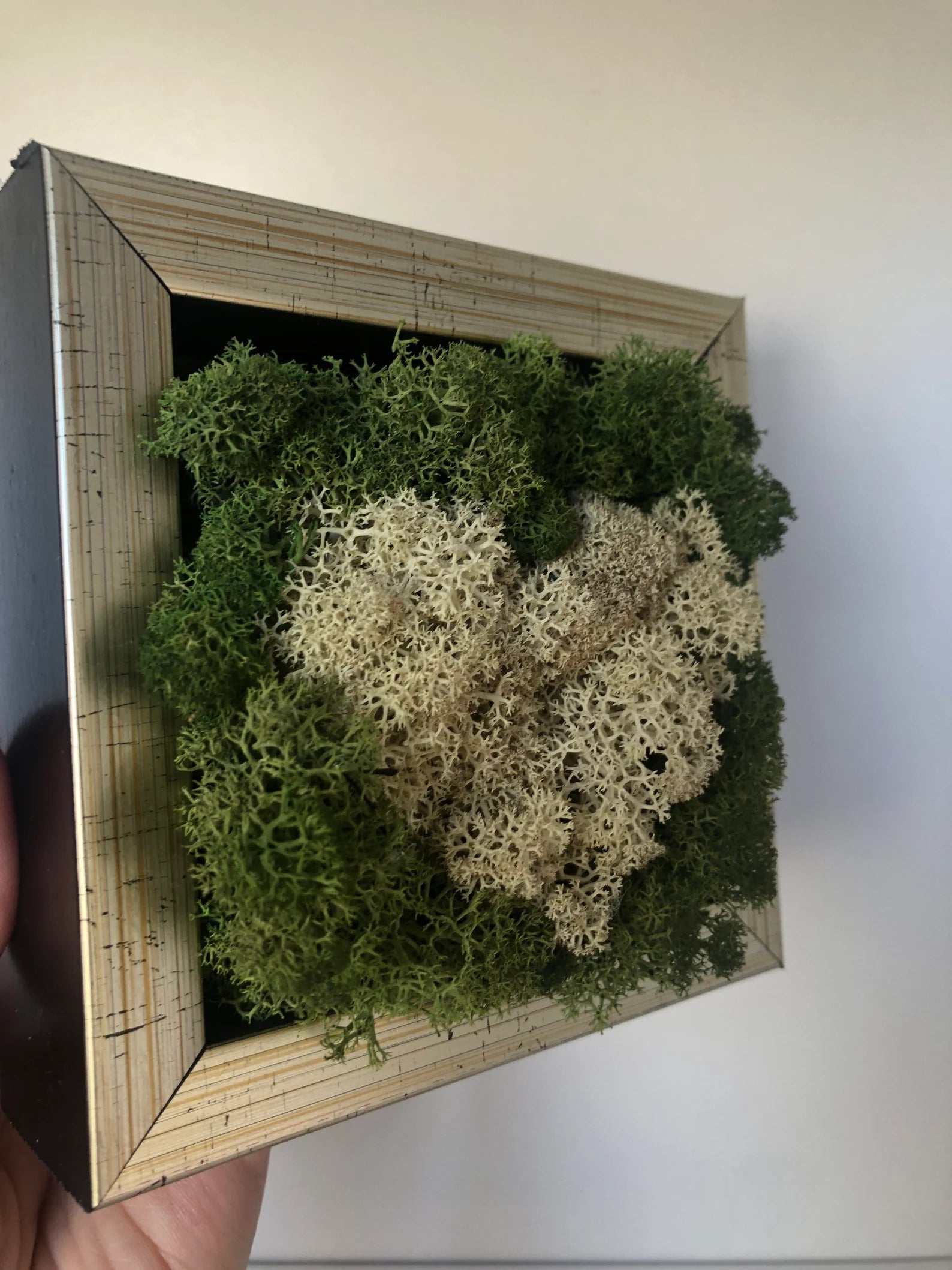White Heart Moss Wall Art – Framed Preserved Reindeer Moss Décor, Unique Gift for Her