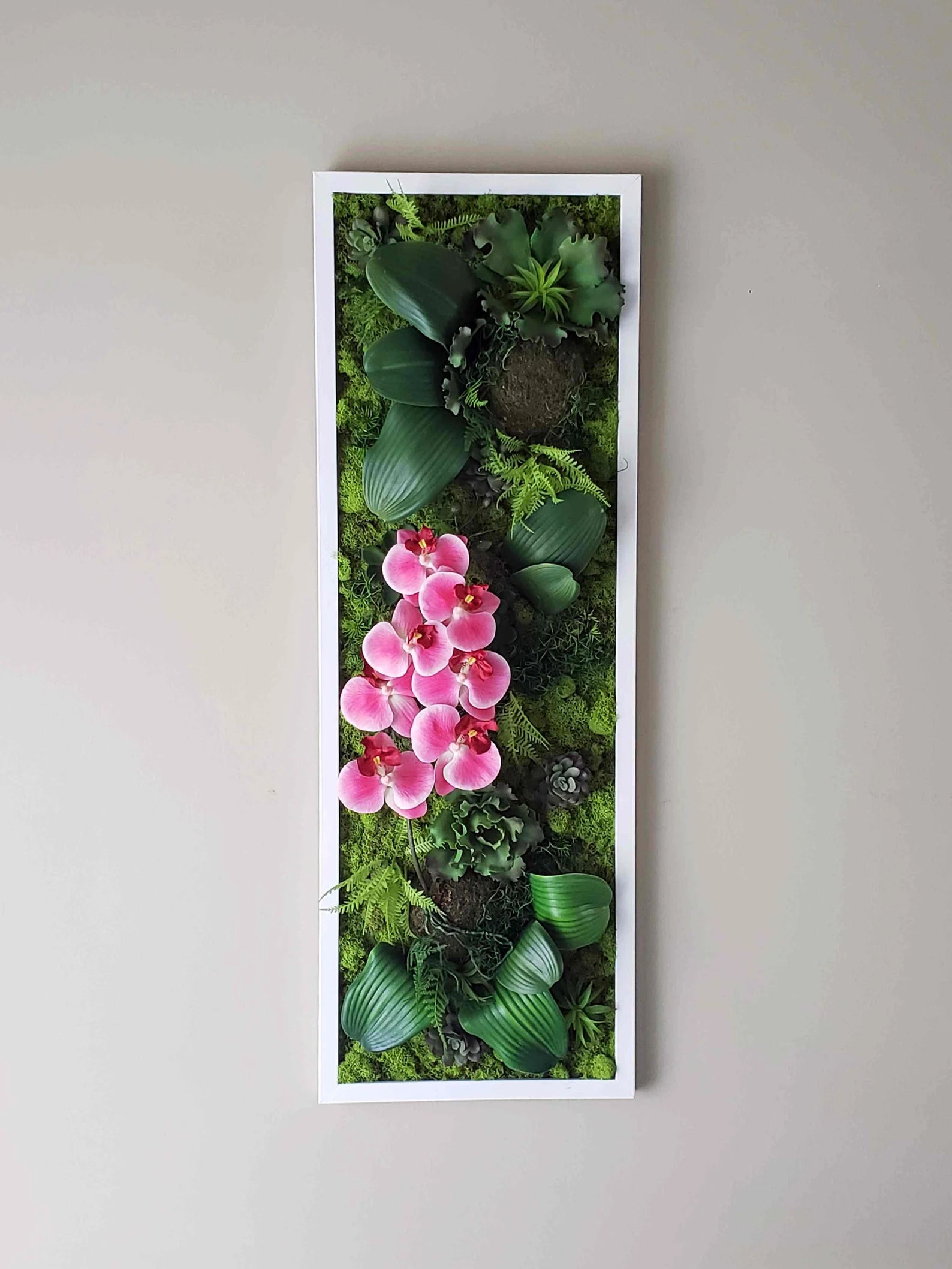 Succulent & Orchid Moss Wall Art – Large Preserved Moss Frame in White, Black, or Gold