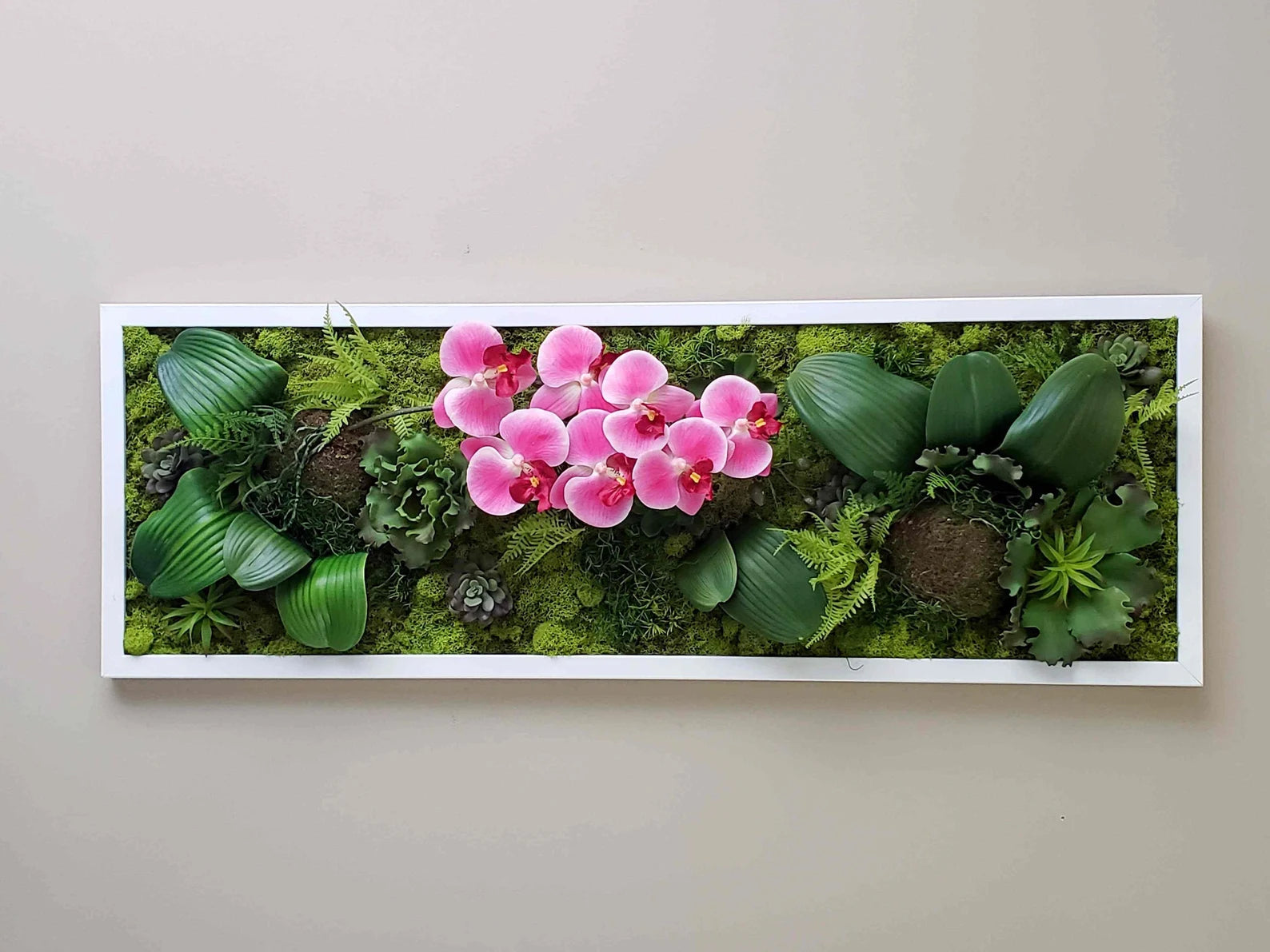 Succulent & Orchid Moss Wall Art – Large Preserved Moss Frame in White, Black, or Gold