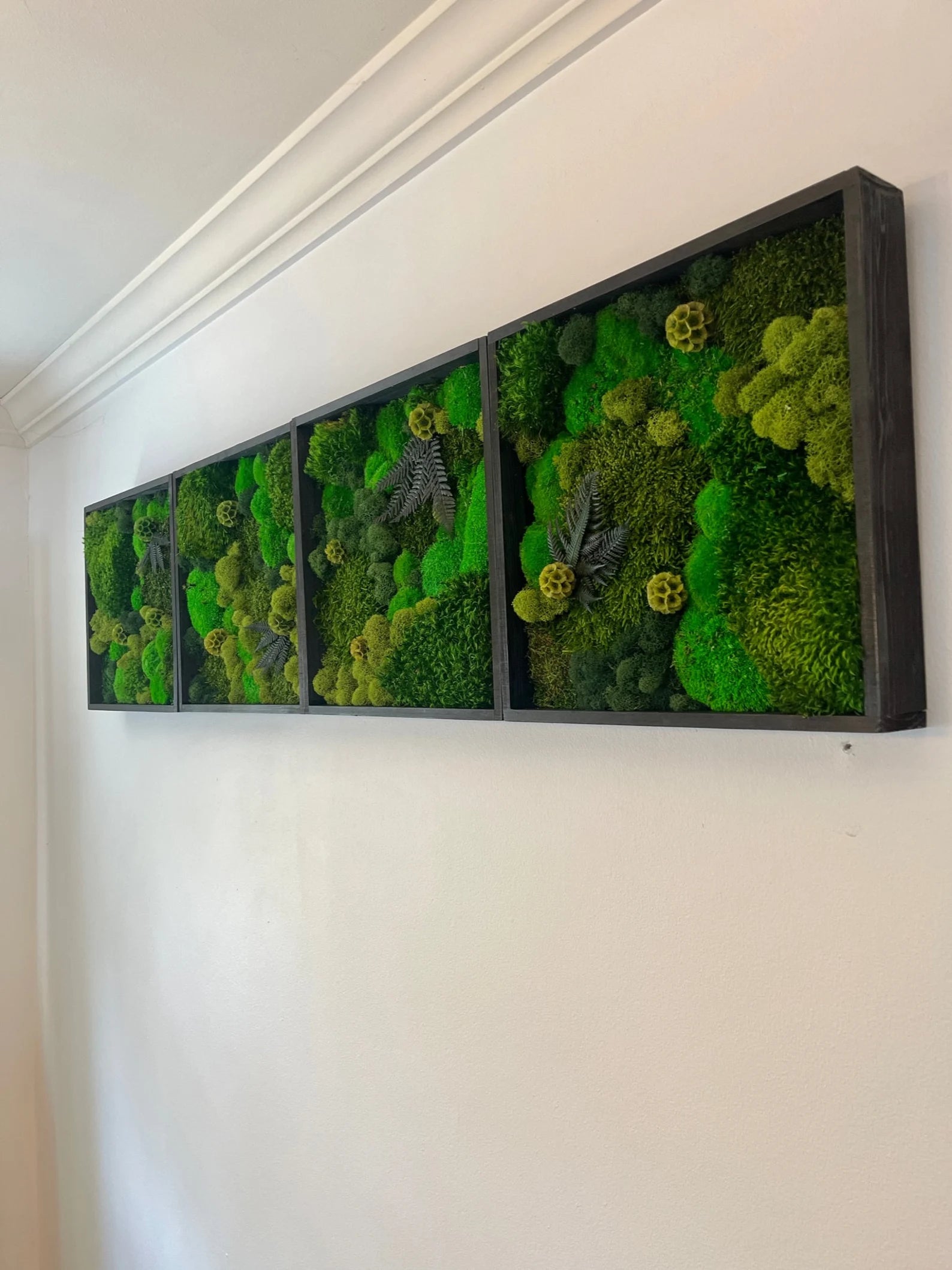 Moss Wall Art – Preserved Green Moss in 12” Wood Frame | Single or Set of 12