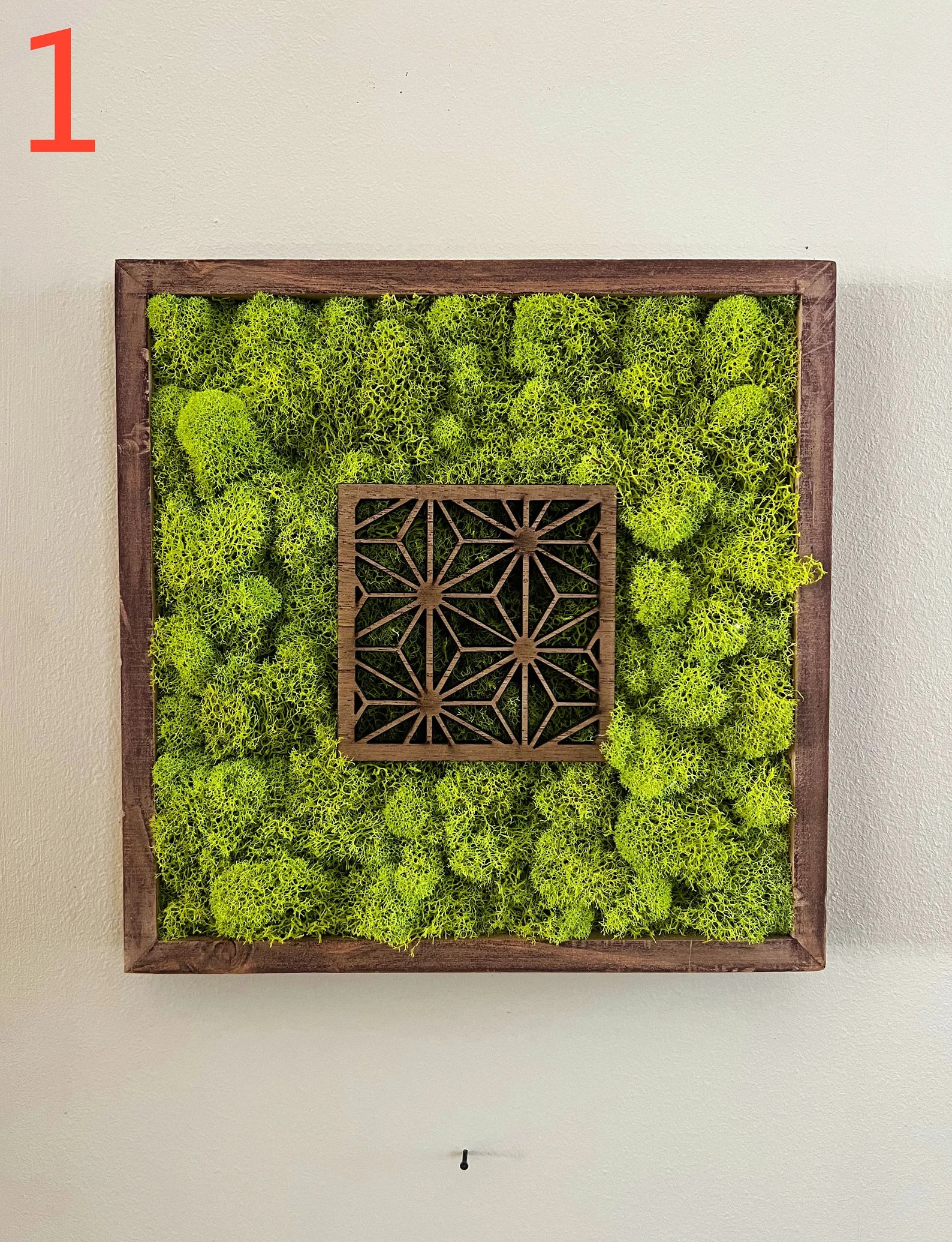 Moss Wall Art – Preserved Moss Art with Natural Wood Frame