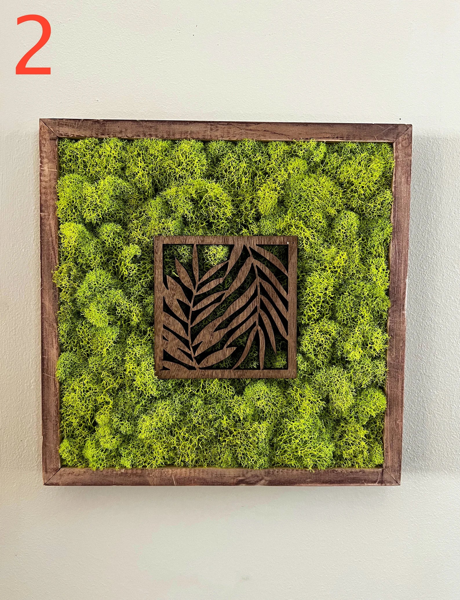 Moss Wall Art – Preserved Moss Art with Natural Wood Frame