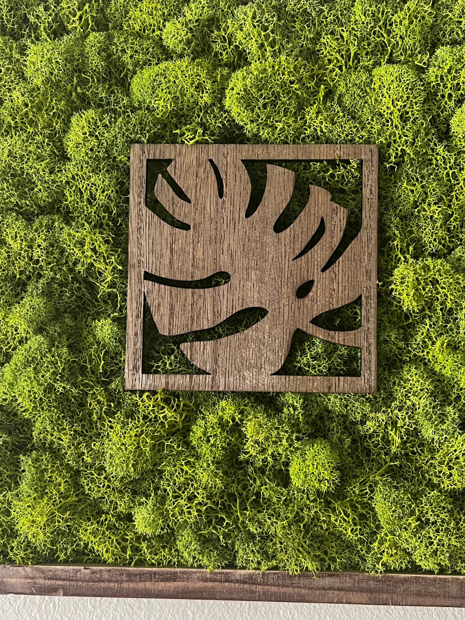 Moss Wall Art – Preserved Moss Art with Natural Wood Frame