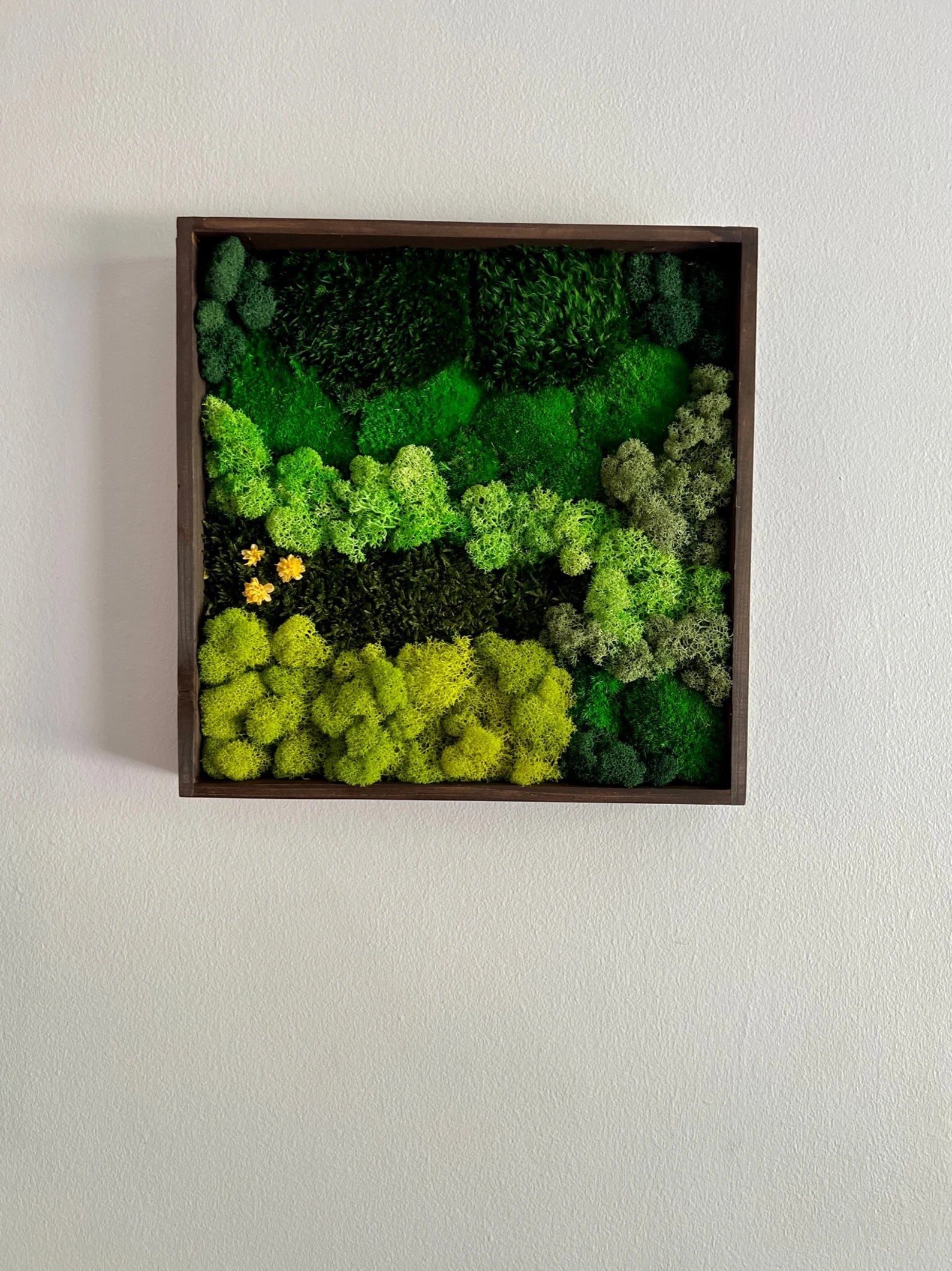 Framed Moss Wall Art – Geometric Aztec Wood Decor | Eco-Friendly Green Wall
