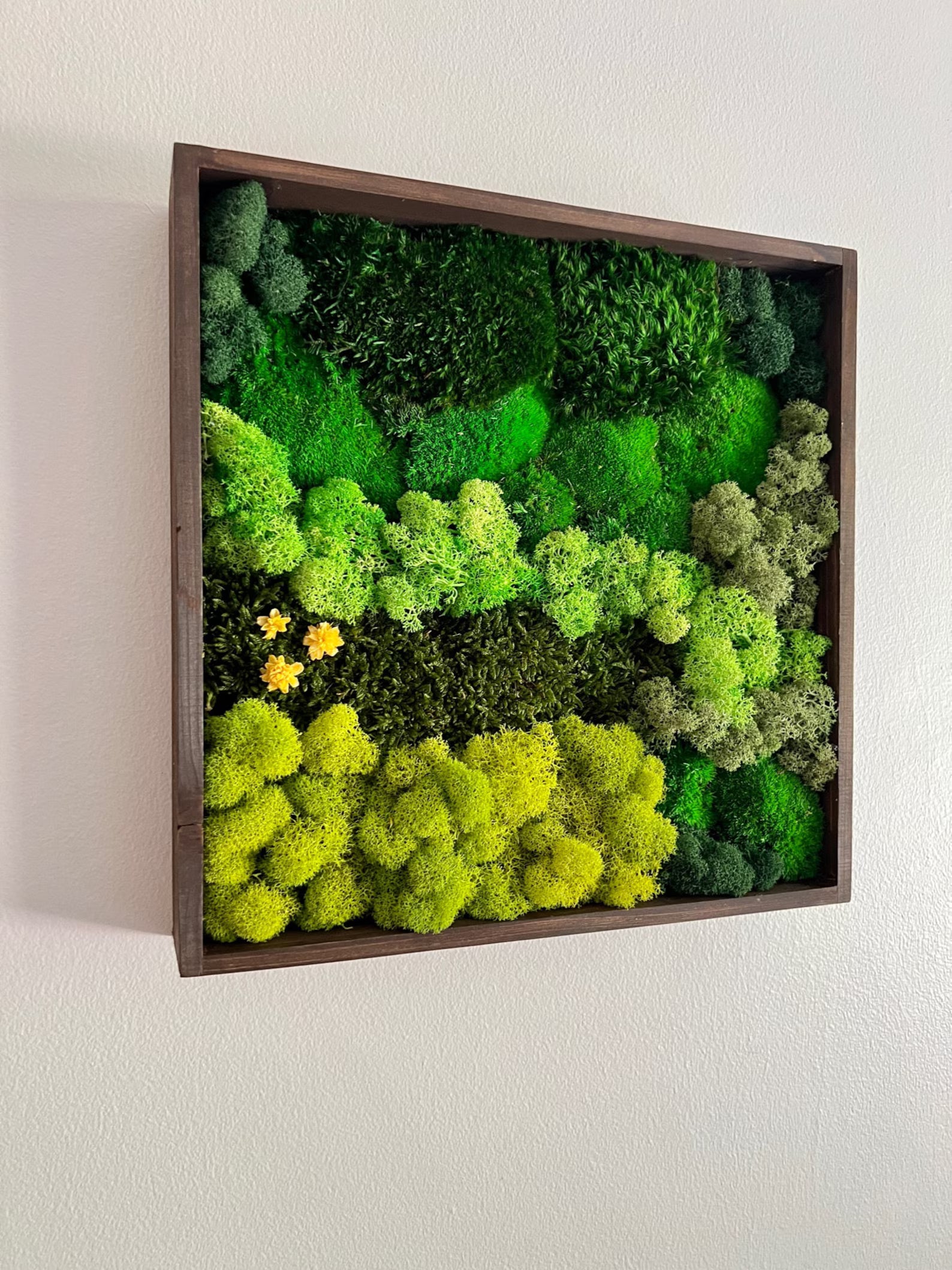 Framed Moss Wall Art – Geometric Aztec Wood Decor | Eco-Friendly Green Wall