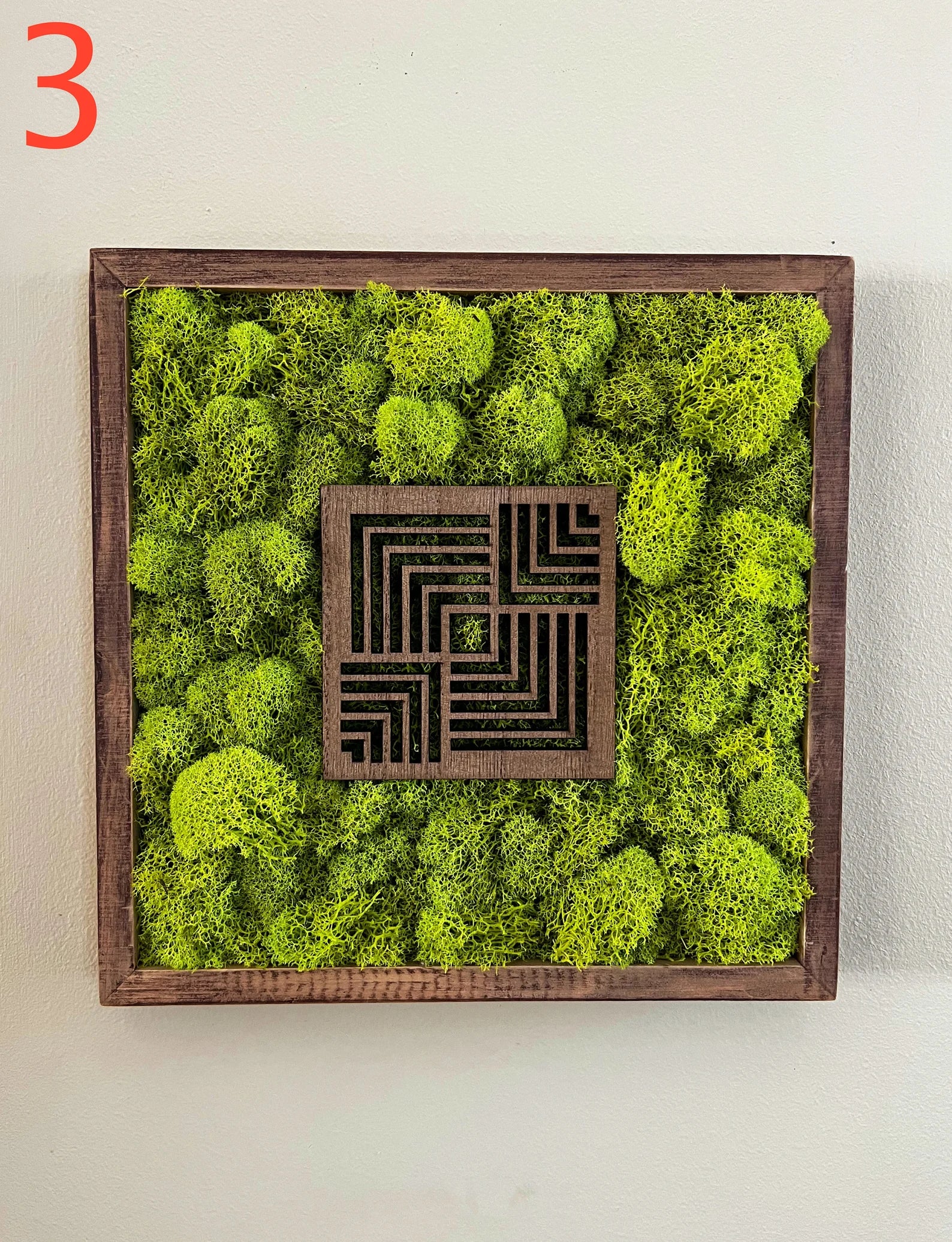 Moss Wall Art – Preserved Moss Art with Natural Wood Frame