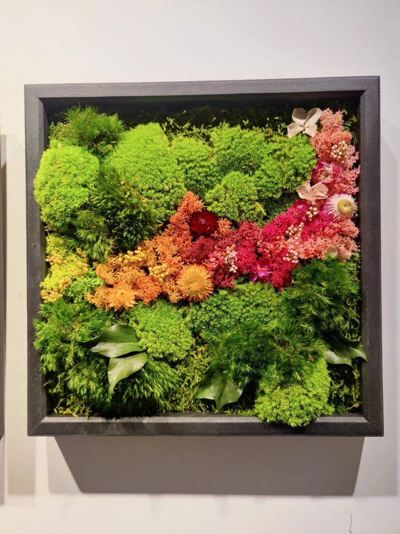 Live Moss Wall Art – Eco-Friendly Vertical Garden | Biophilic & Sustainable Home Decor