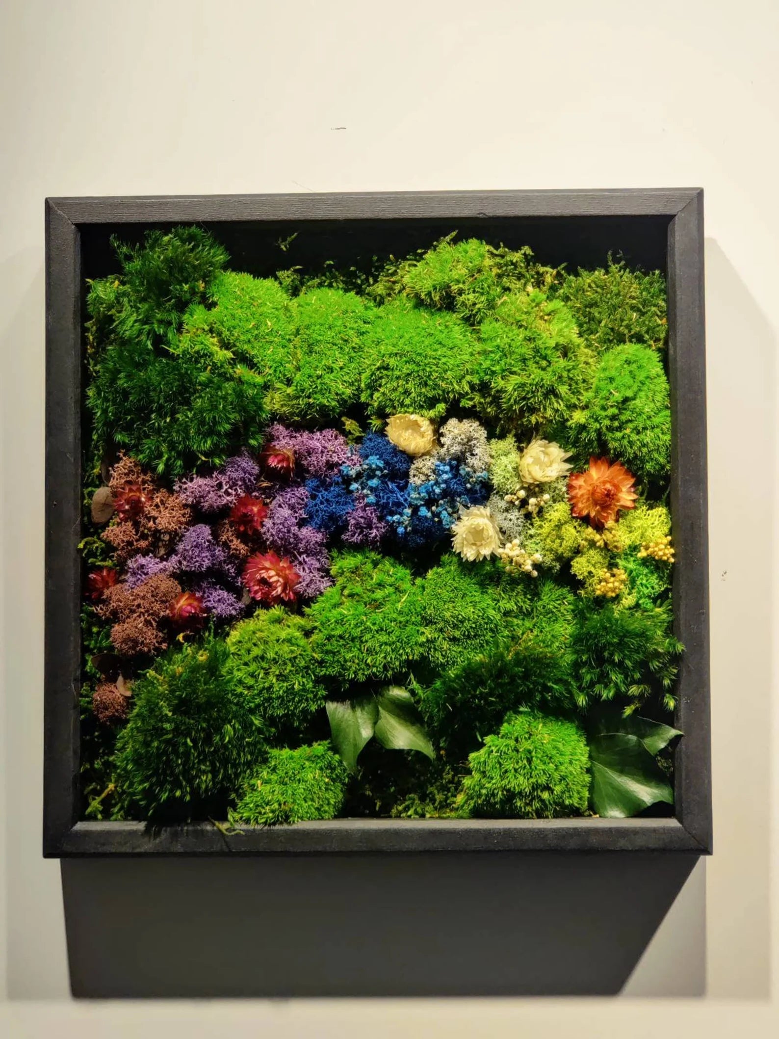 Live Moss Wall Art – Eco-Friendly Vertical Garden | Biophilic & Sustainable Home Decor