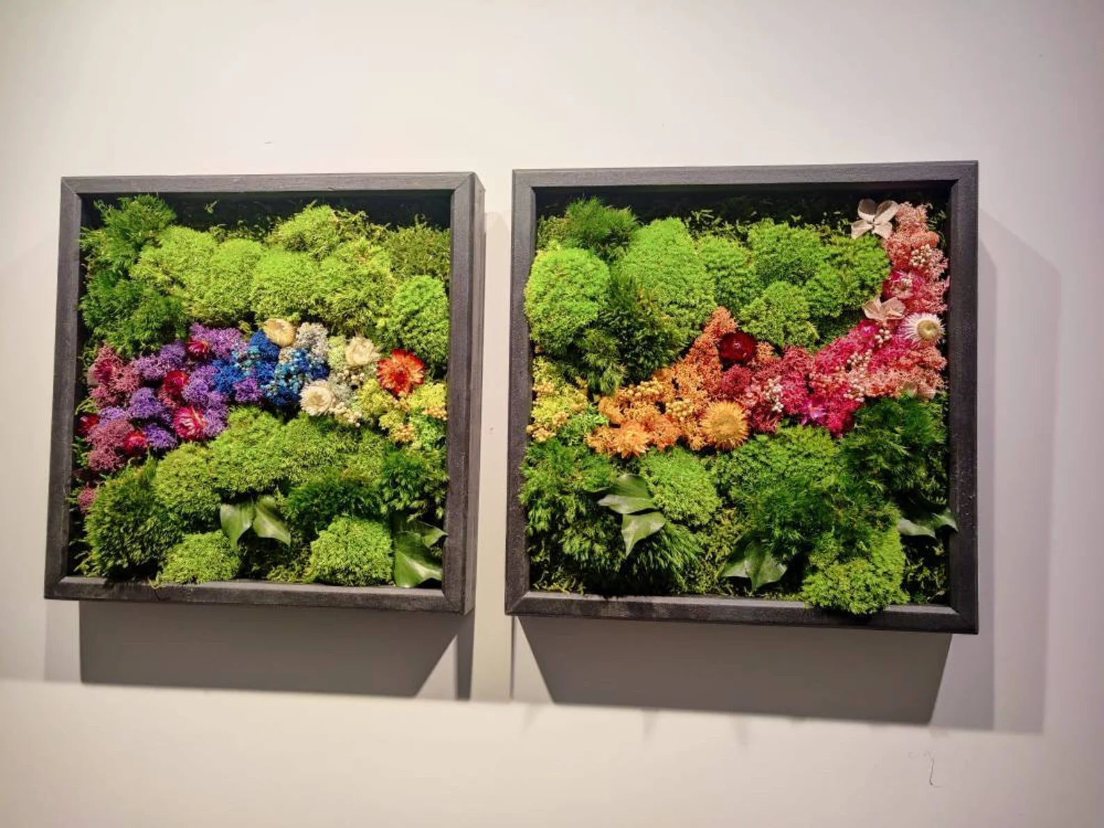 Live Moss Wall Art – Eco-Friendly Vertical Garden | Biophilic & Sustainable Home Decor