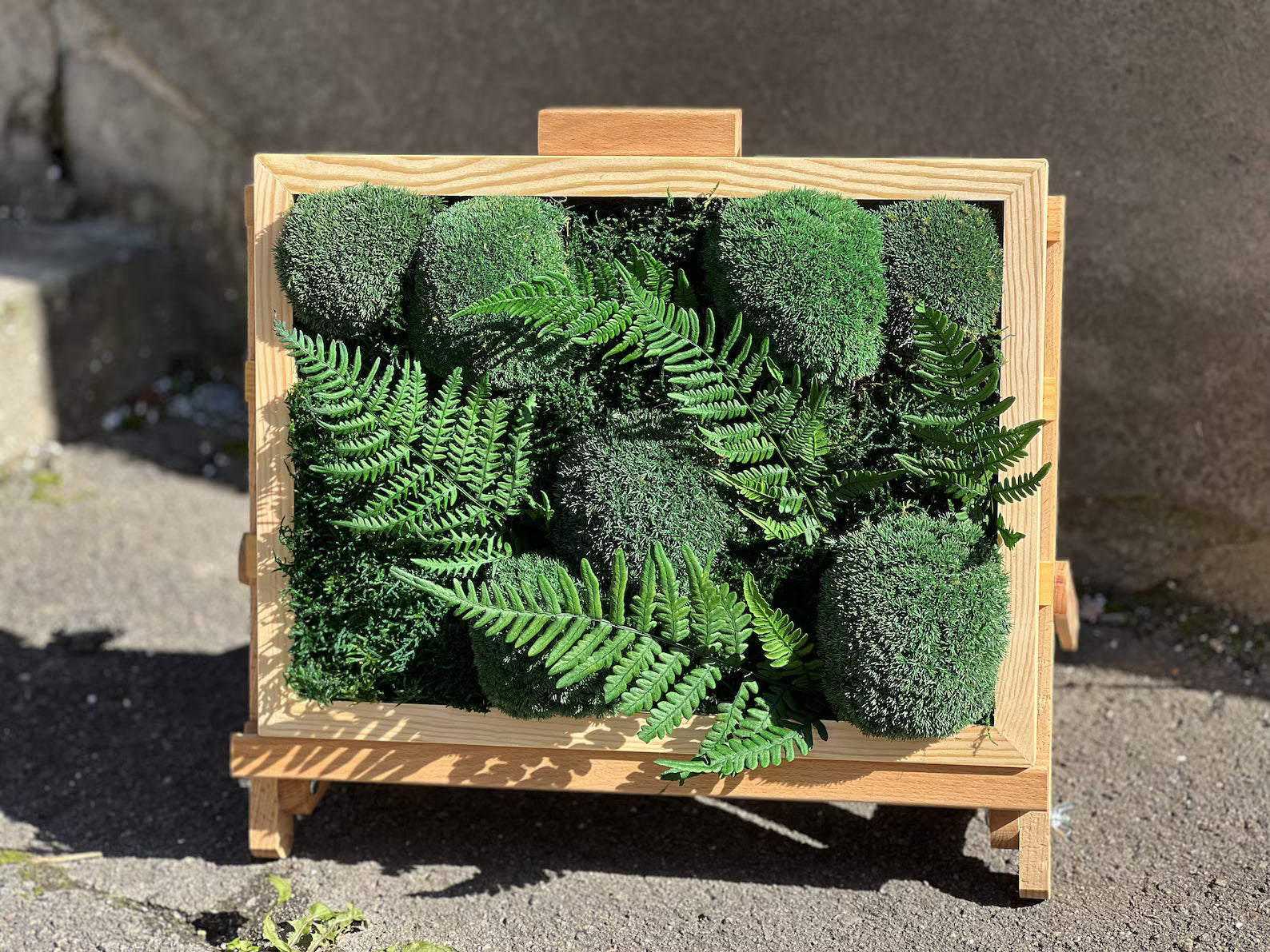 Framed Moss Wall Art with Fern Leaves | Greenery Moss Decor | Live Moss Wall Hanging for Living Room & Office