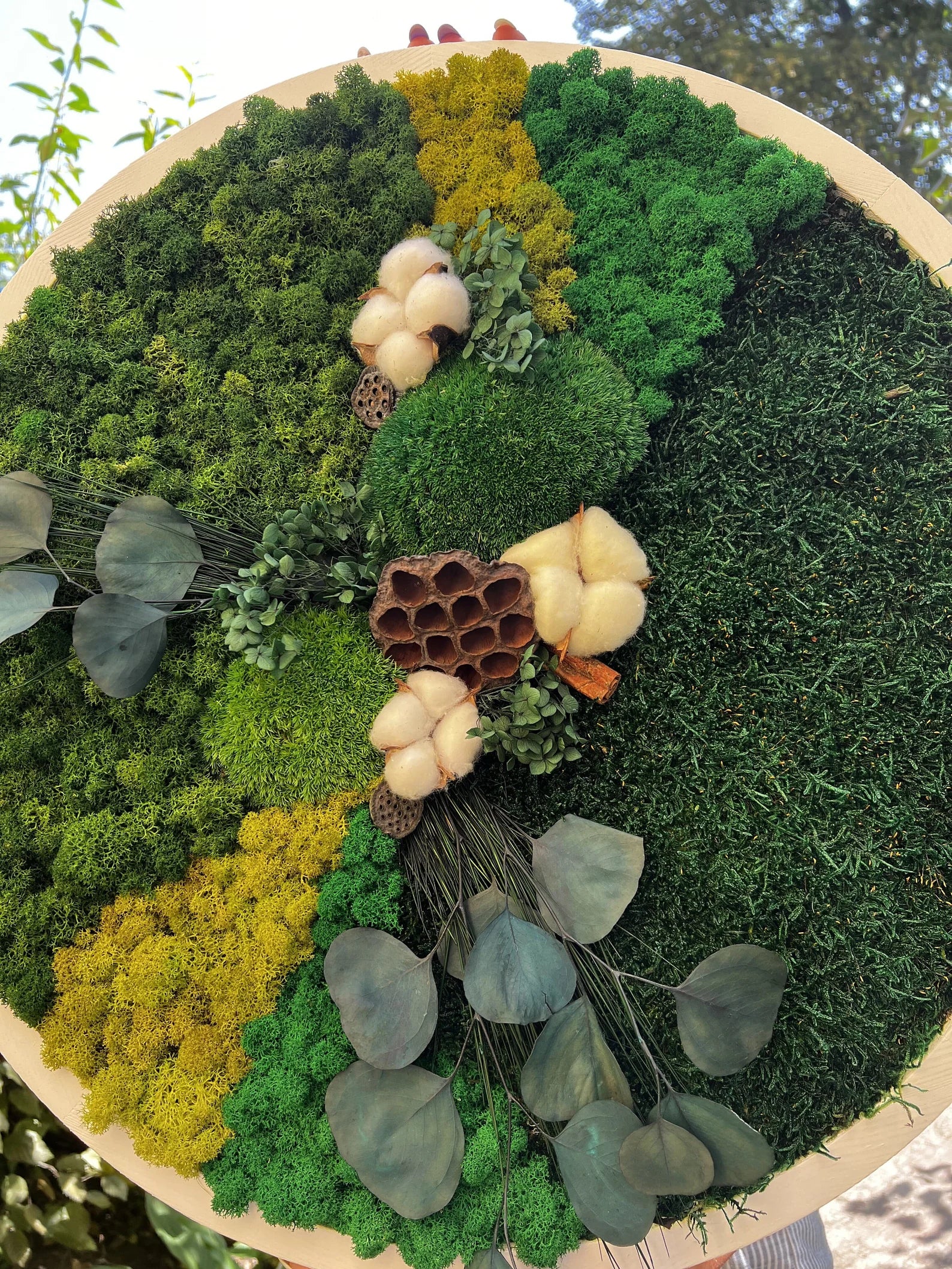 Moss Wall Art – Live & Preserved Framed Moss Wall Hanging | Living Wall Green Decor