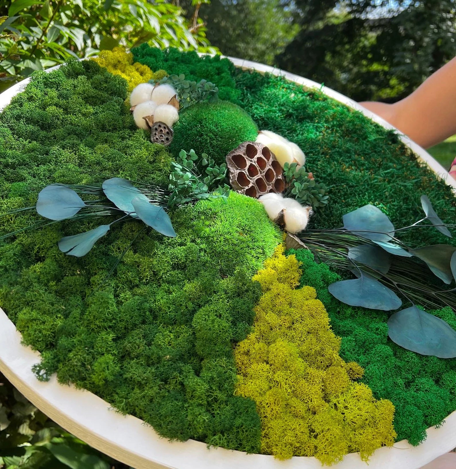 Moss Wall Art – Live & Preserved Framed Moss Wall Hanging | Living Wall Green Decor