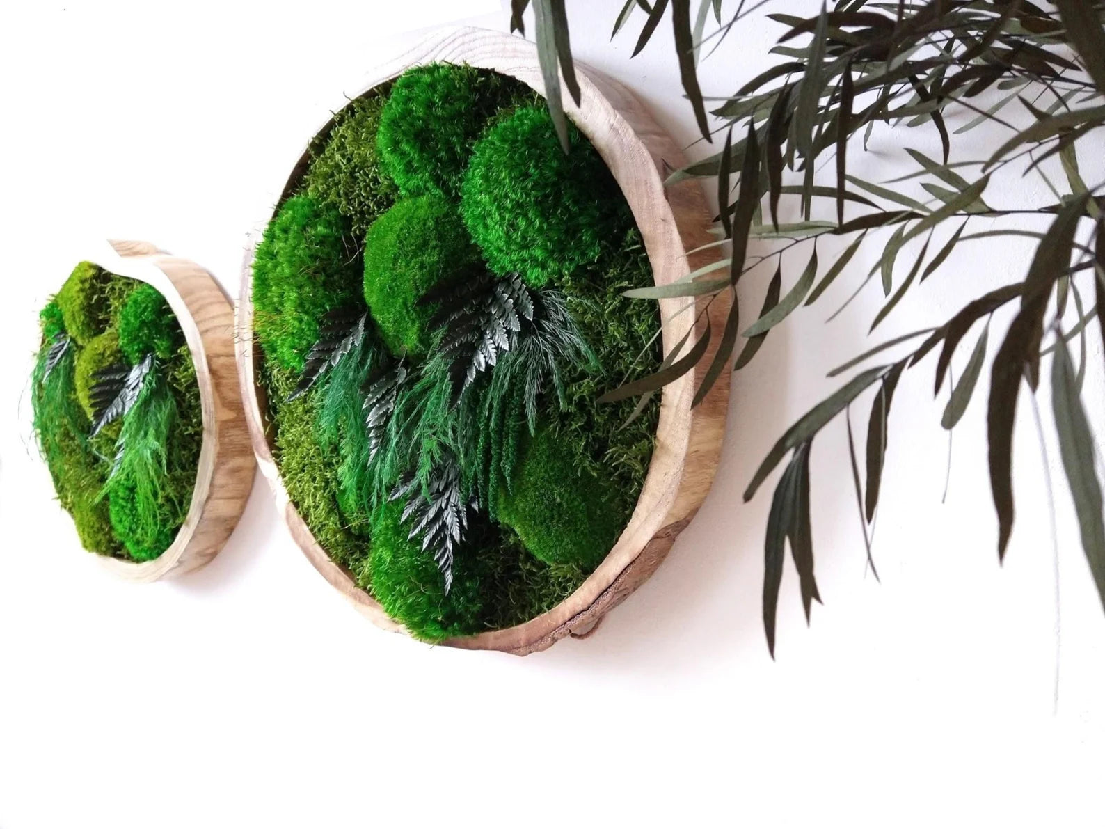 Colorful Round Moss Wall Art – Circle Wall Decor with Preserved Moss & Flowers | Modular Vertical Garden