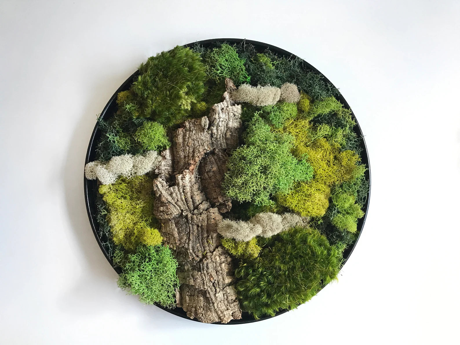 Eco-Friendly Round Moss Wall Art | Botanical Vertical Garden Decor for Home & Office