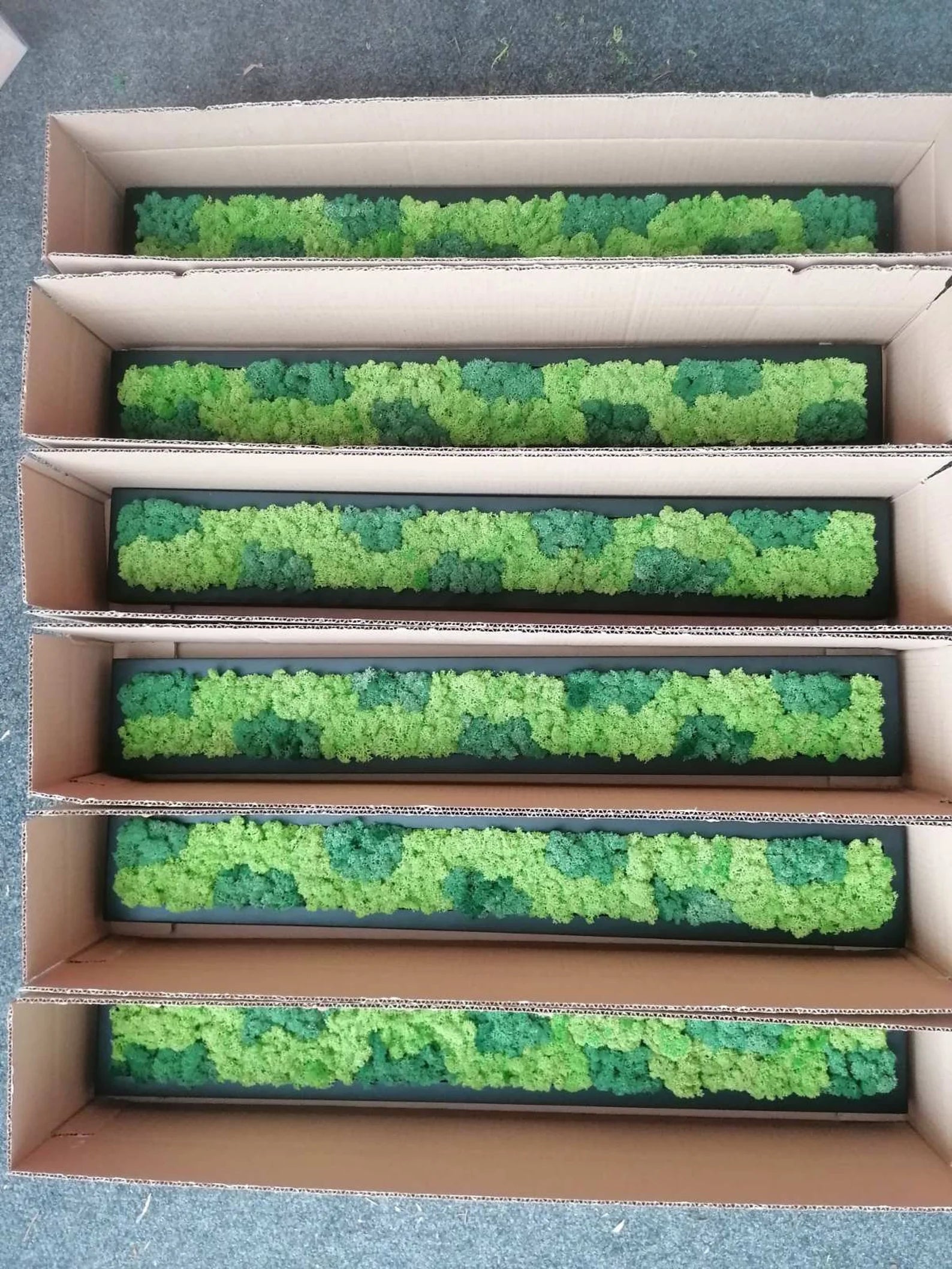 Wooden Moss Panel – Preserved Reindeer Moss Wall Art, Real Moss Wall Hanging for Home Decor