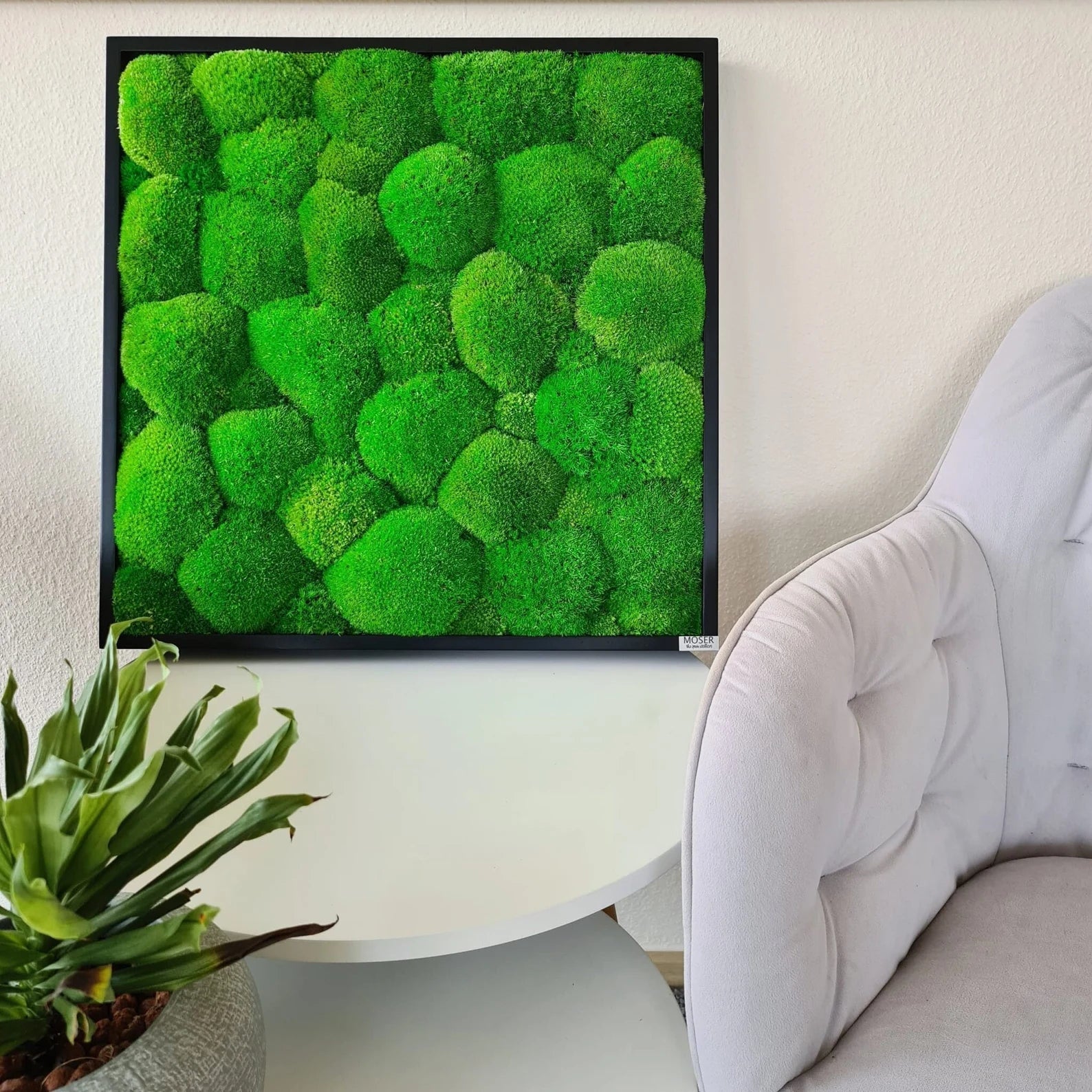 Bun Moss Wall Art – Premium Moss Picture with Logo for Living Room, Office & Large Spaces