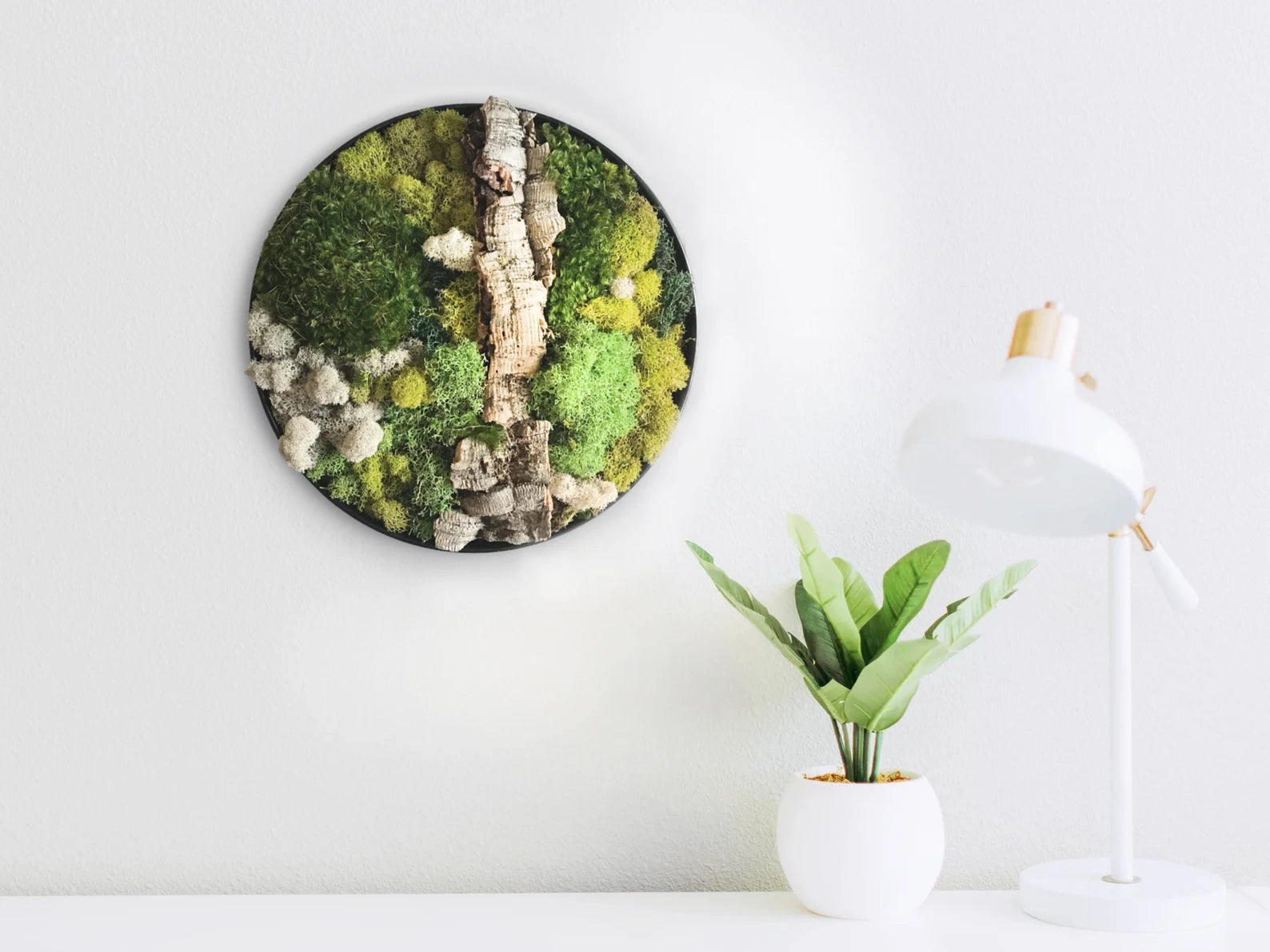 Eco-Friendly Round Moss Wall Art | Botanical Vertical Garden Decor for Home & Office
